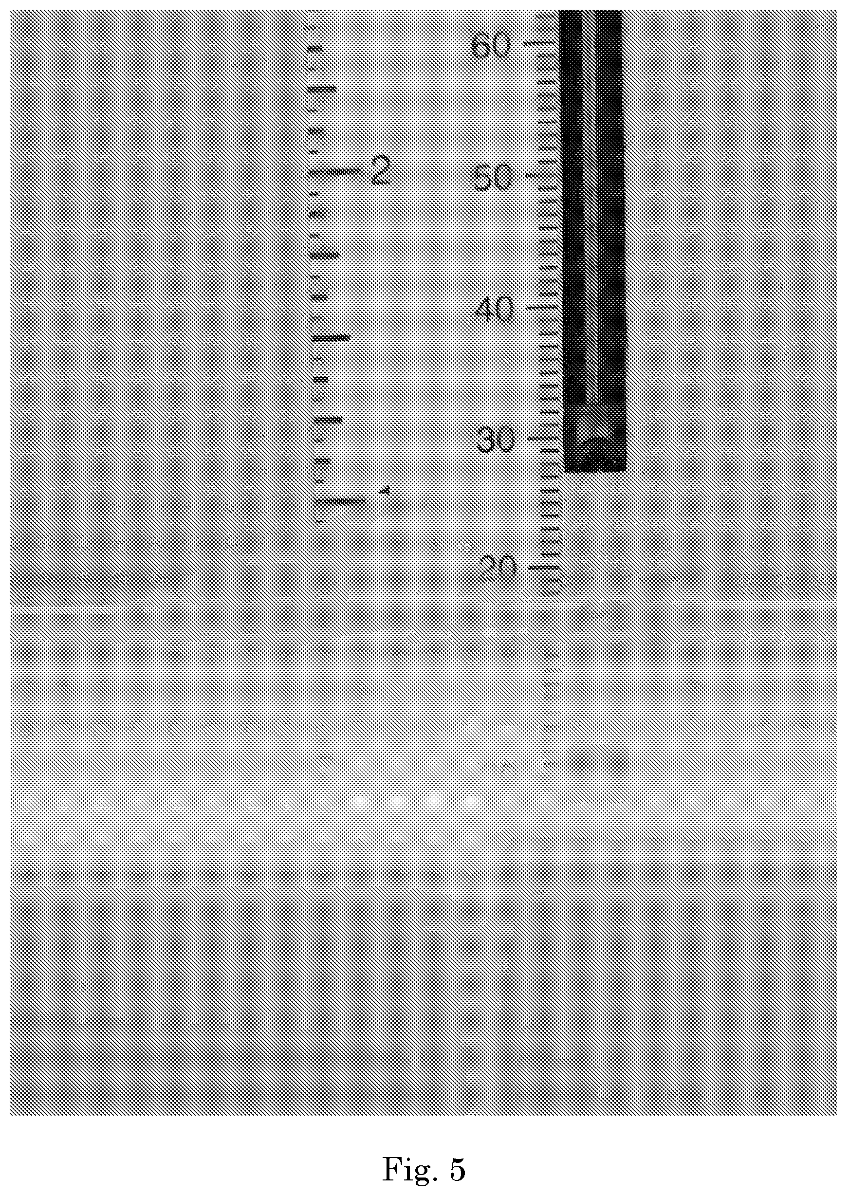 Patent US12325007 Figure 5 – Biocompatible high aspect-ratio porous membrane