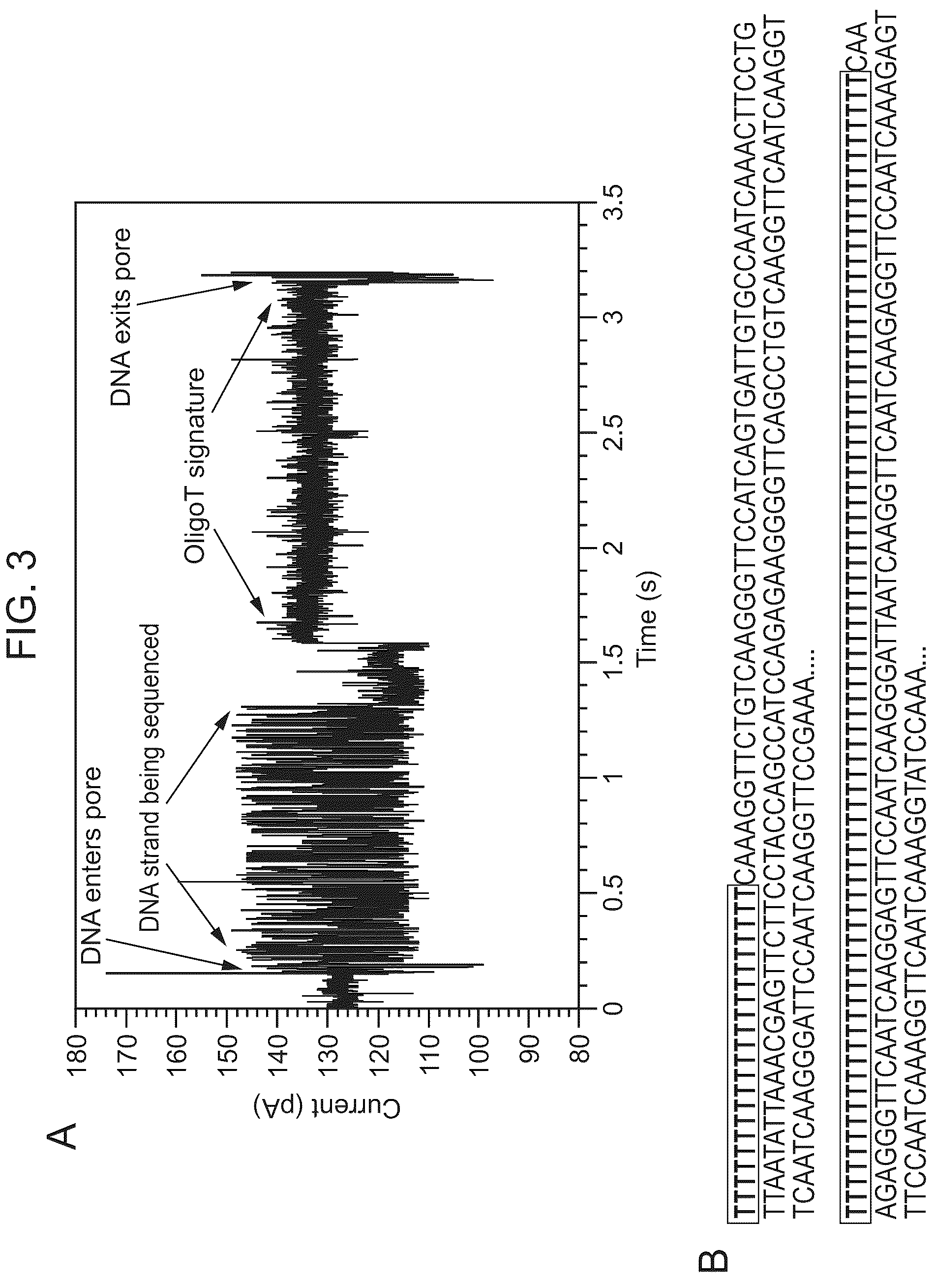 Patent US12325011 Figure 3 – Methods and devices for non-enzymatic nucleic acid synthesis