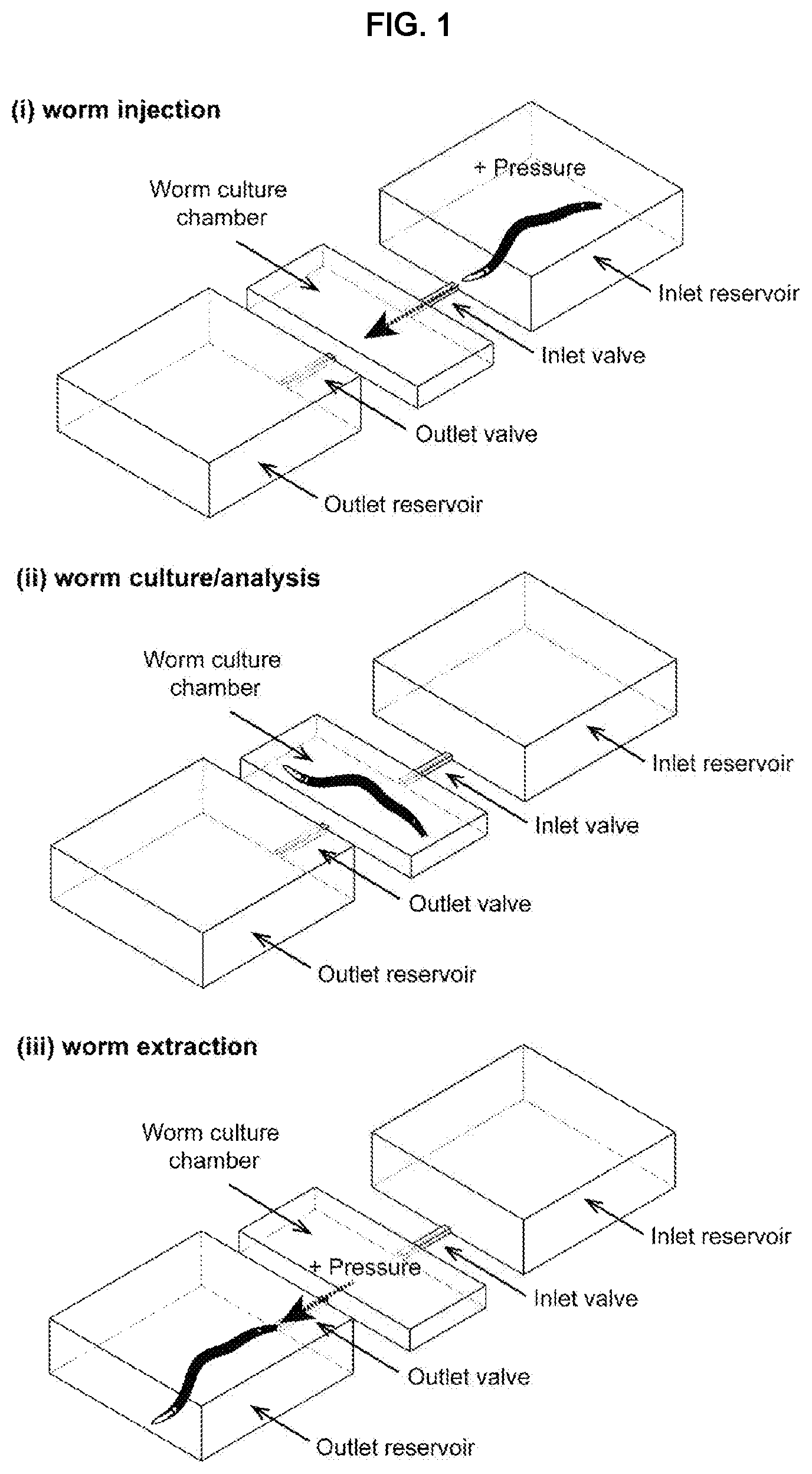 Patent US12325022 Figure 1 – Microfluidic device, system, and method for the study of organisms