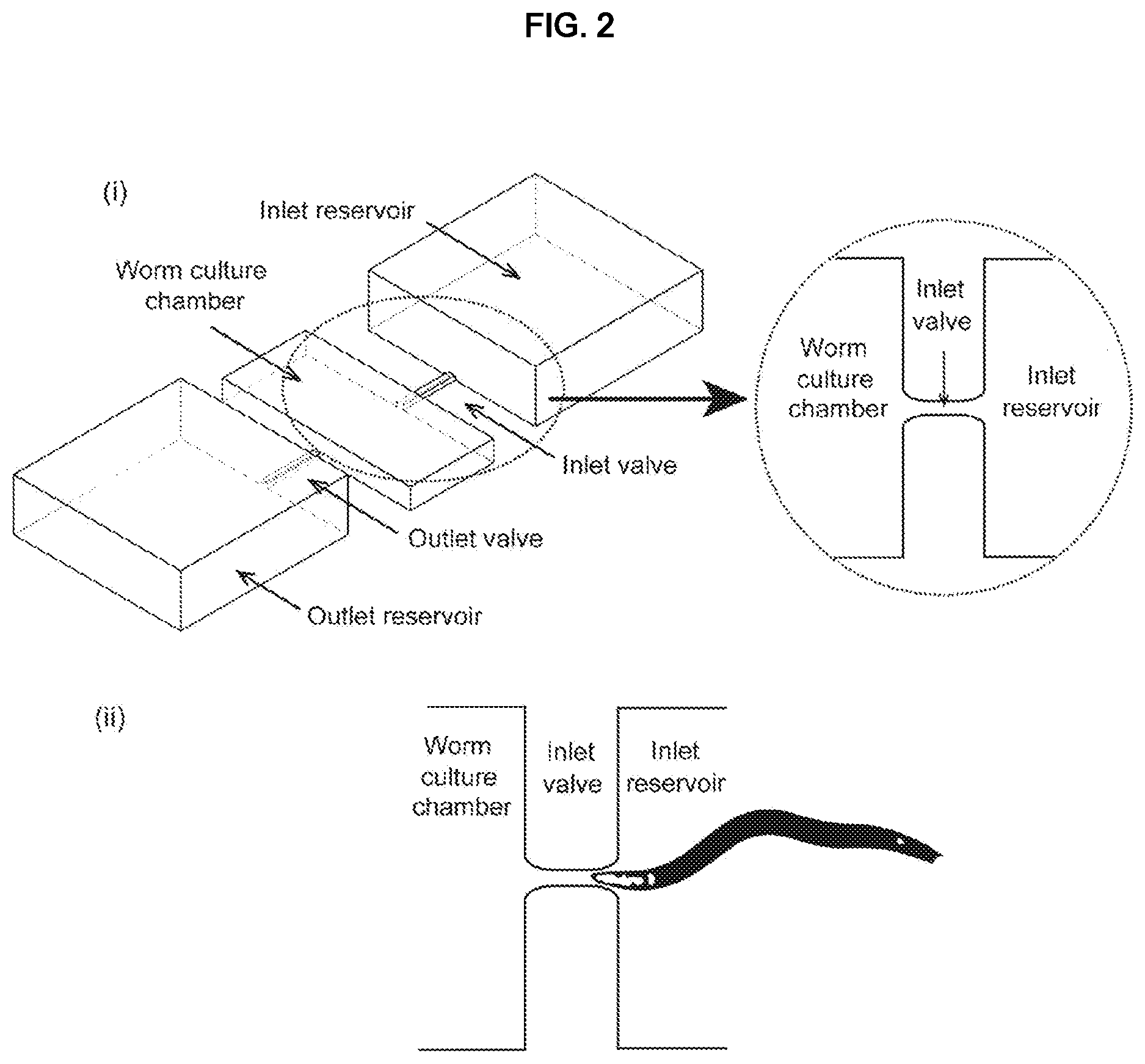 Patent US12325022 Figure 2 – Microfluidic device, system, and method for the study of organisms