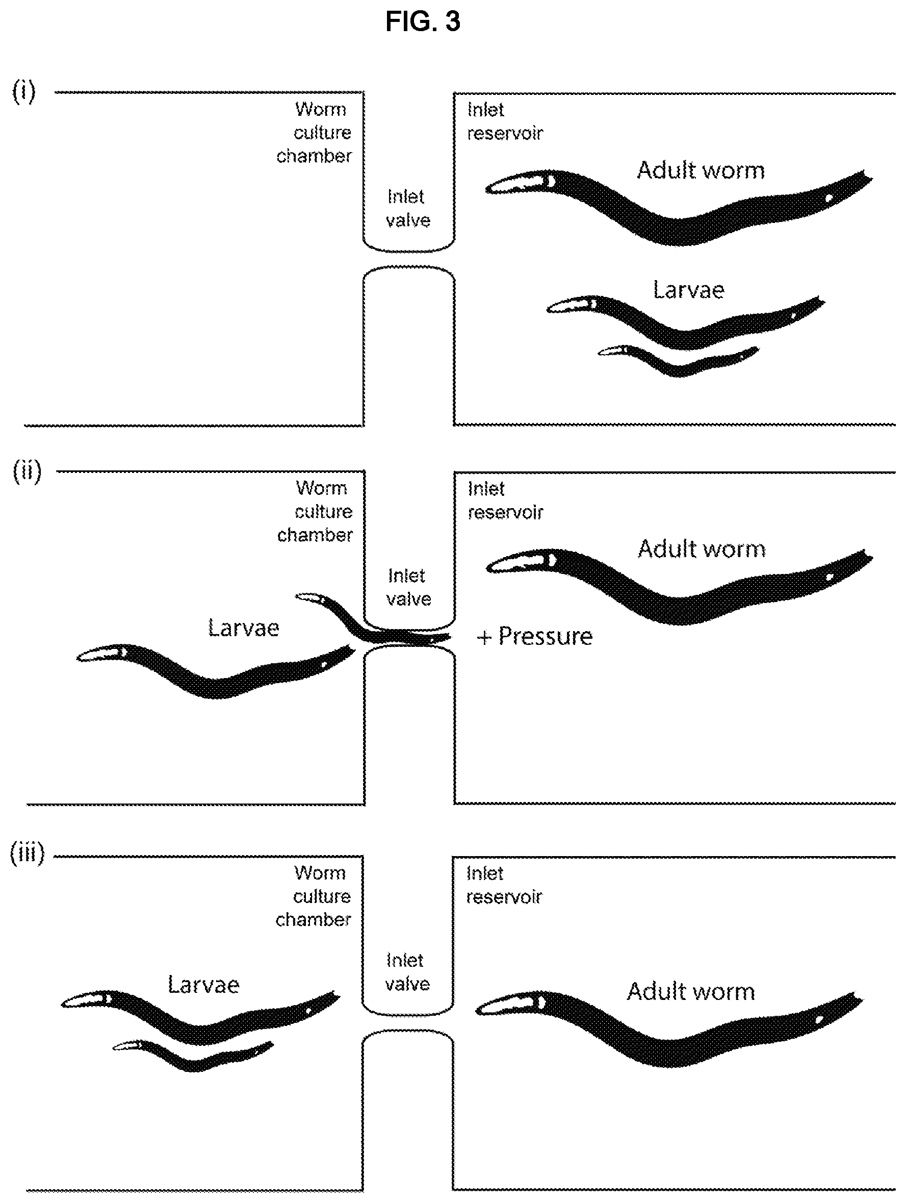 Patent US12325022 Figure 4 – Microfluidic device, system, and method for the study of organisms