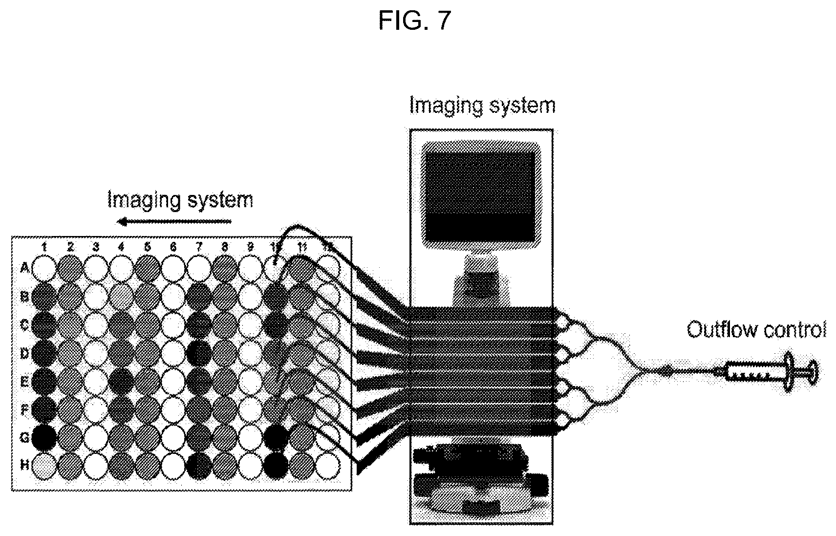 Patent US12325022 Figure 7 – Microfluidic device, system, and method for the study of organisms