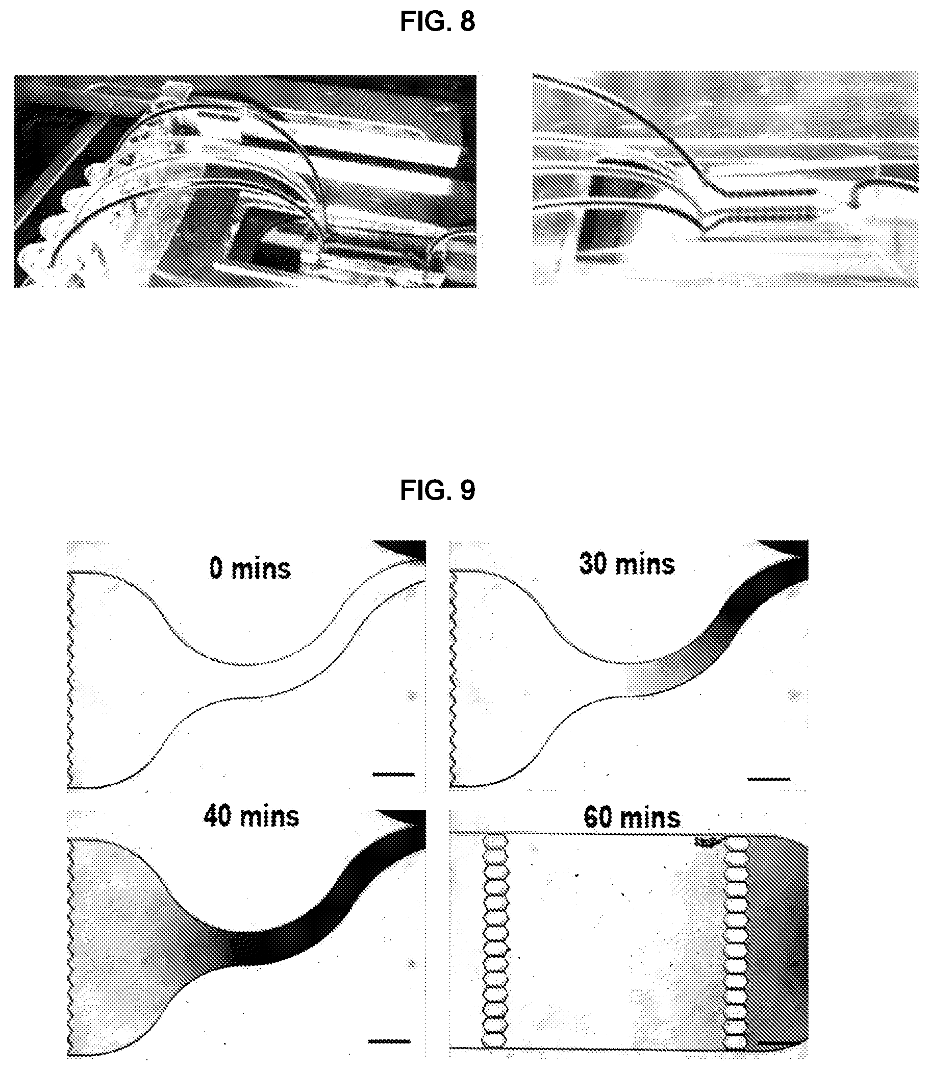 Patent US12325022 Figure 8 – Microfluidic device, system, and method for the study of organisms