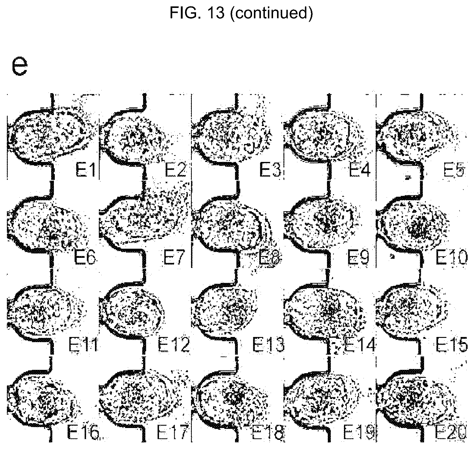 Patent US12325022 Figure 16 – Microfluidic device, system, and method for the study of organisms