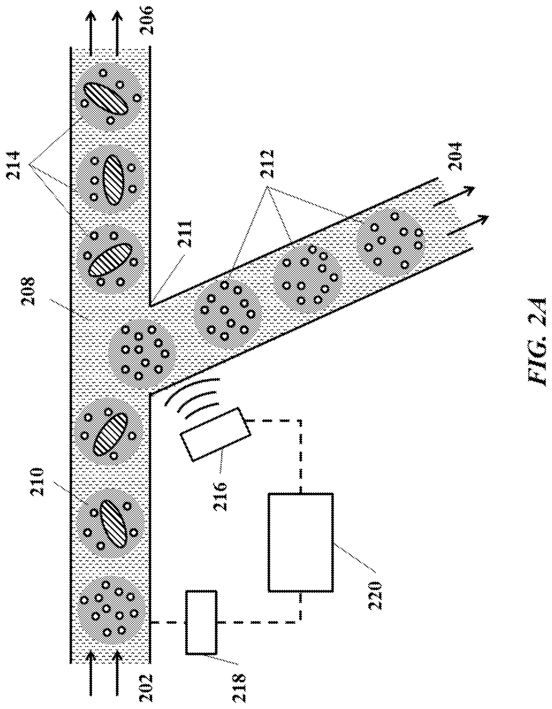 Patent US12325023 Figure 2 – Methods for sorting particles