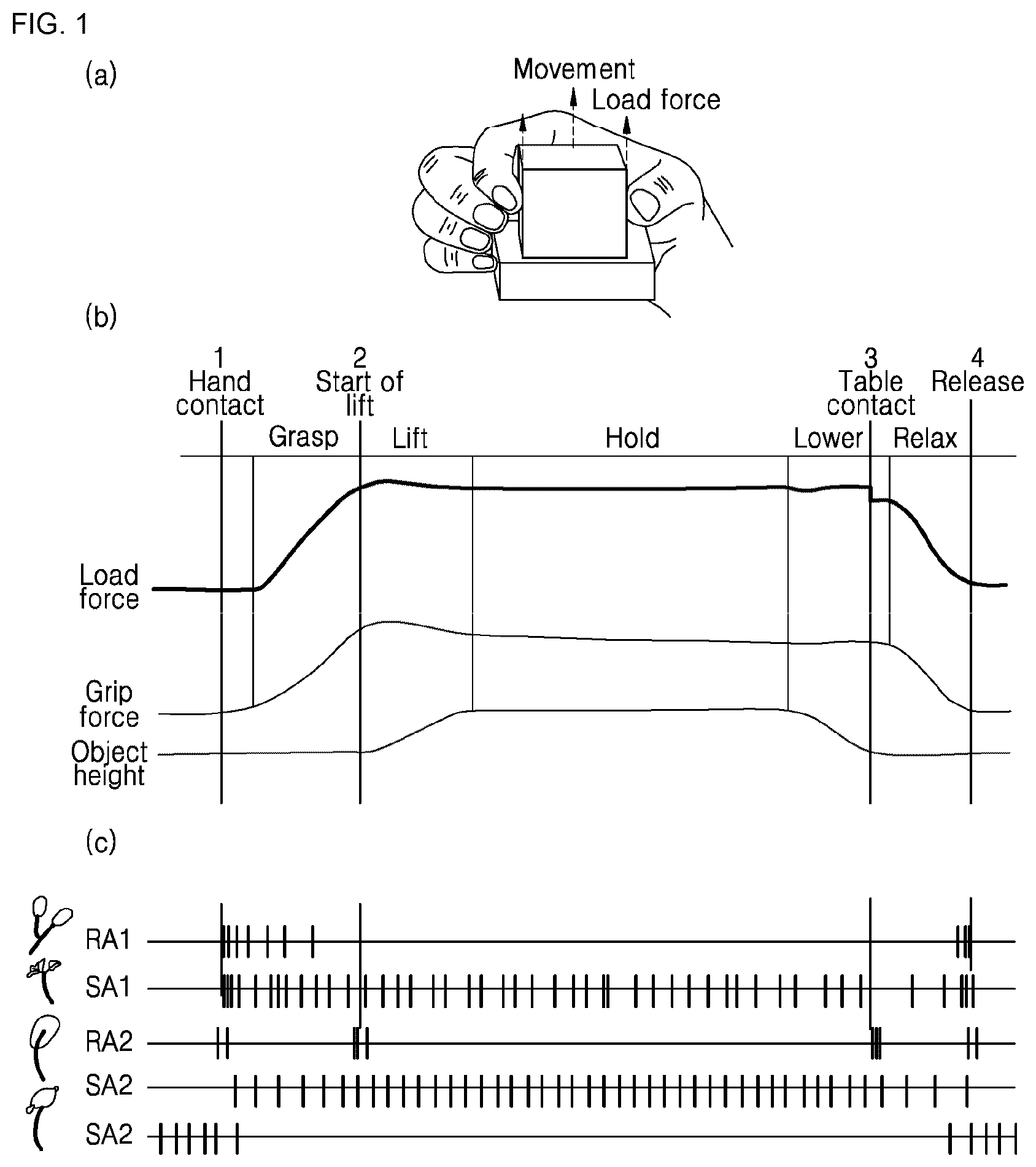 Patent US12325048 Figure 1 – Stereo tactile sensation providing device