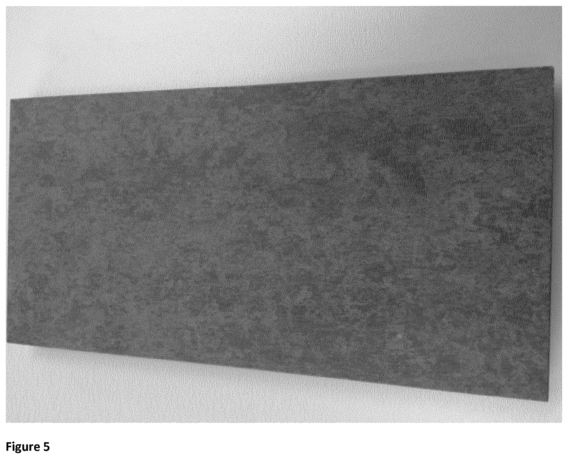 Patent US12325663 Figure 3 – Fiber cement decking products and methods for the production thereof