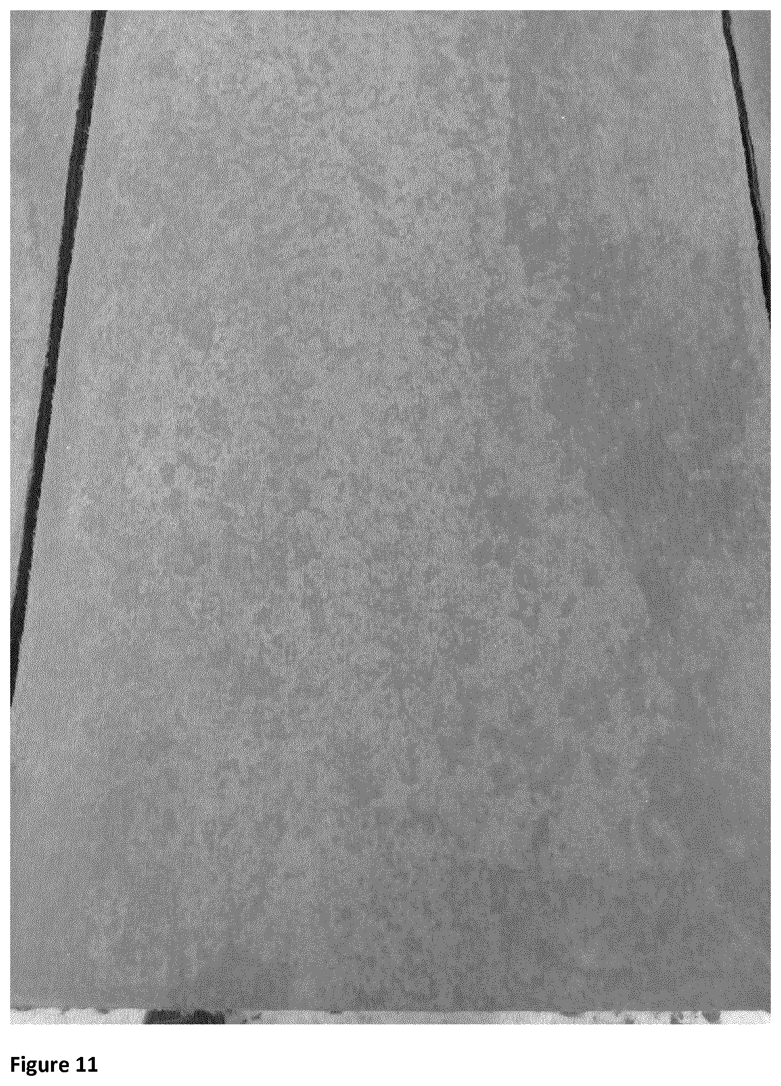 Patent US12325663 Figure 7 – Fiber cement decking products and methods for the production thereof