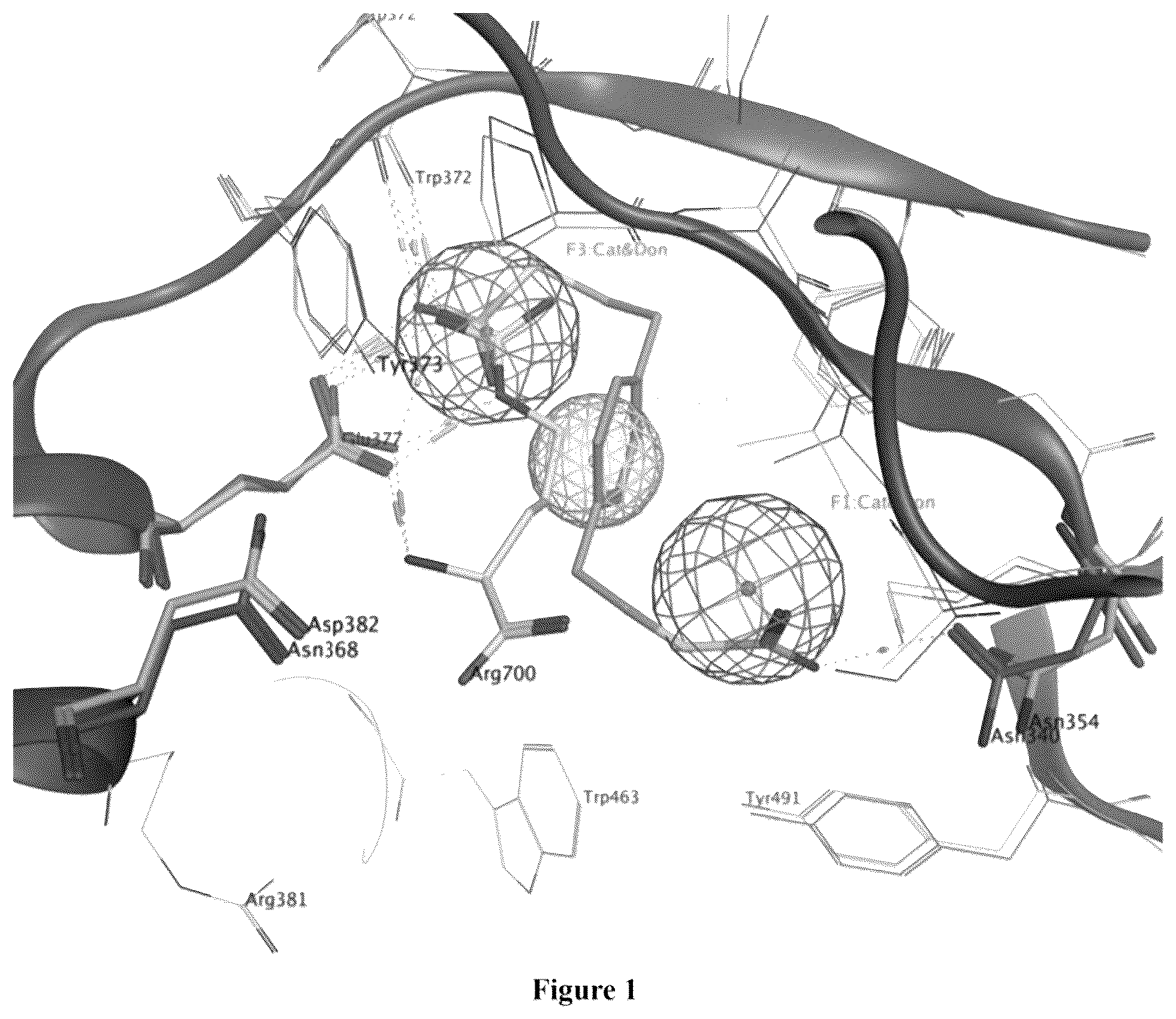 Patent US12325681 Figure 1 – Inhibitors of nitric oxide synthases (NOS), pharmaceutical products thereof, and methods thereof