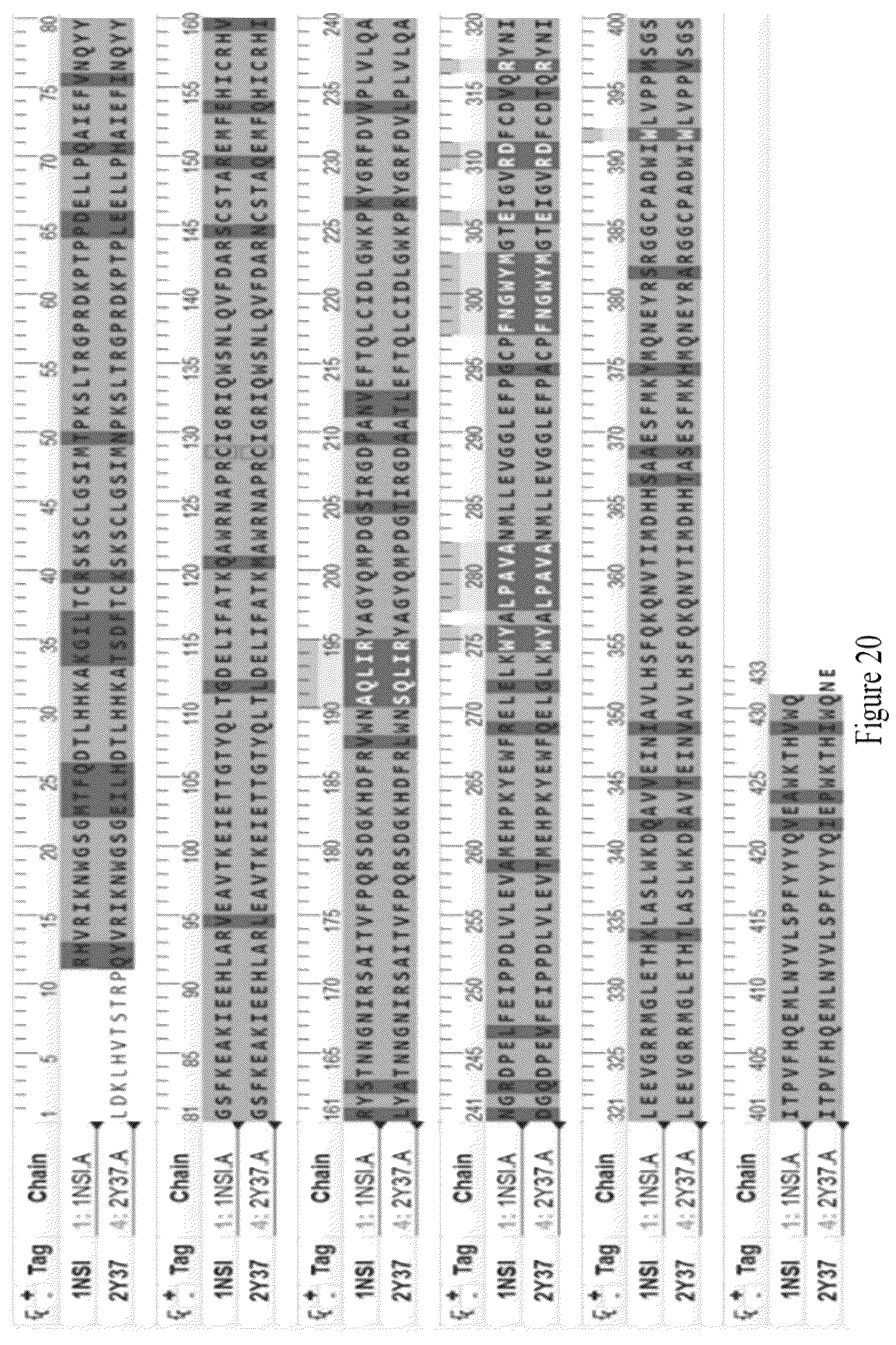 Patent US12325681 Figure 20 – Inhibitors of nitric oxide synthases (NOS), pharmaceutical products thereof, and methods thereof