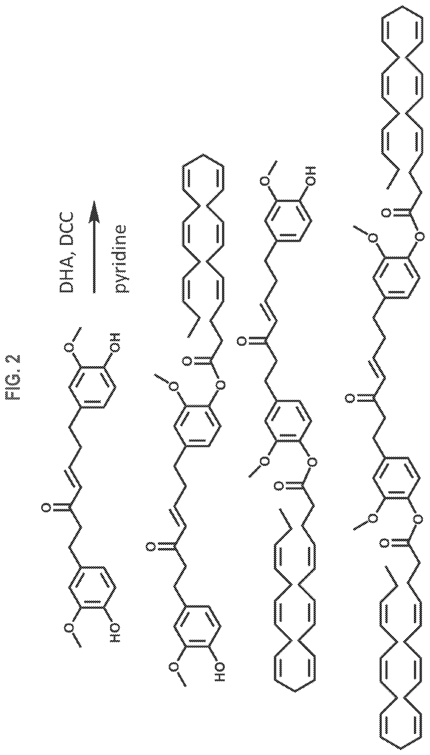Patent US12325688 Figure 2 – Gingerenone A prodrugs as sensotherapeutics and methods of use