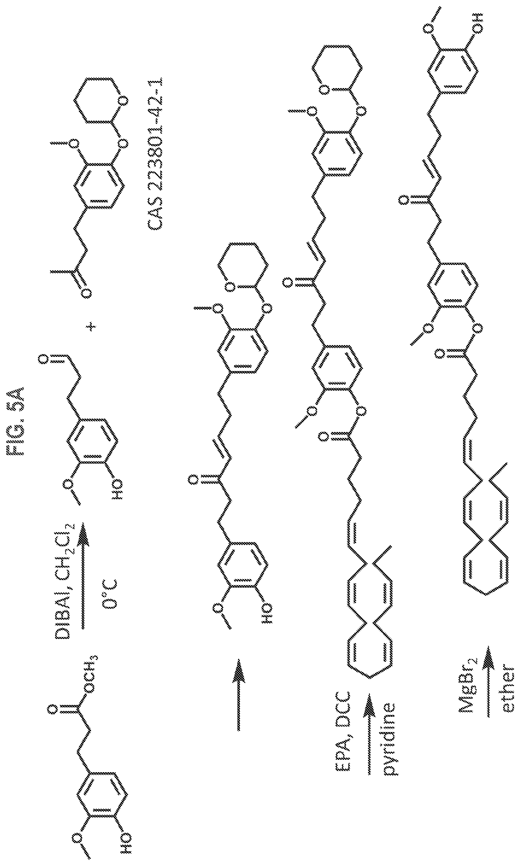 Patent US12325688 Figure 5 – Gingerenone A prodrugs as sensotherapeutics and methods of use