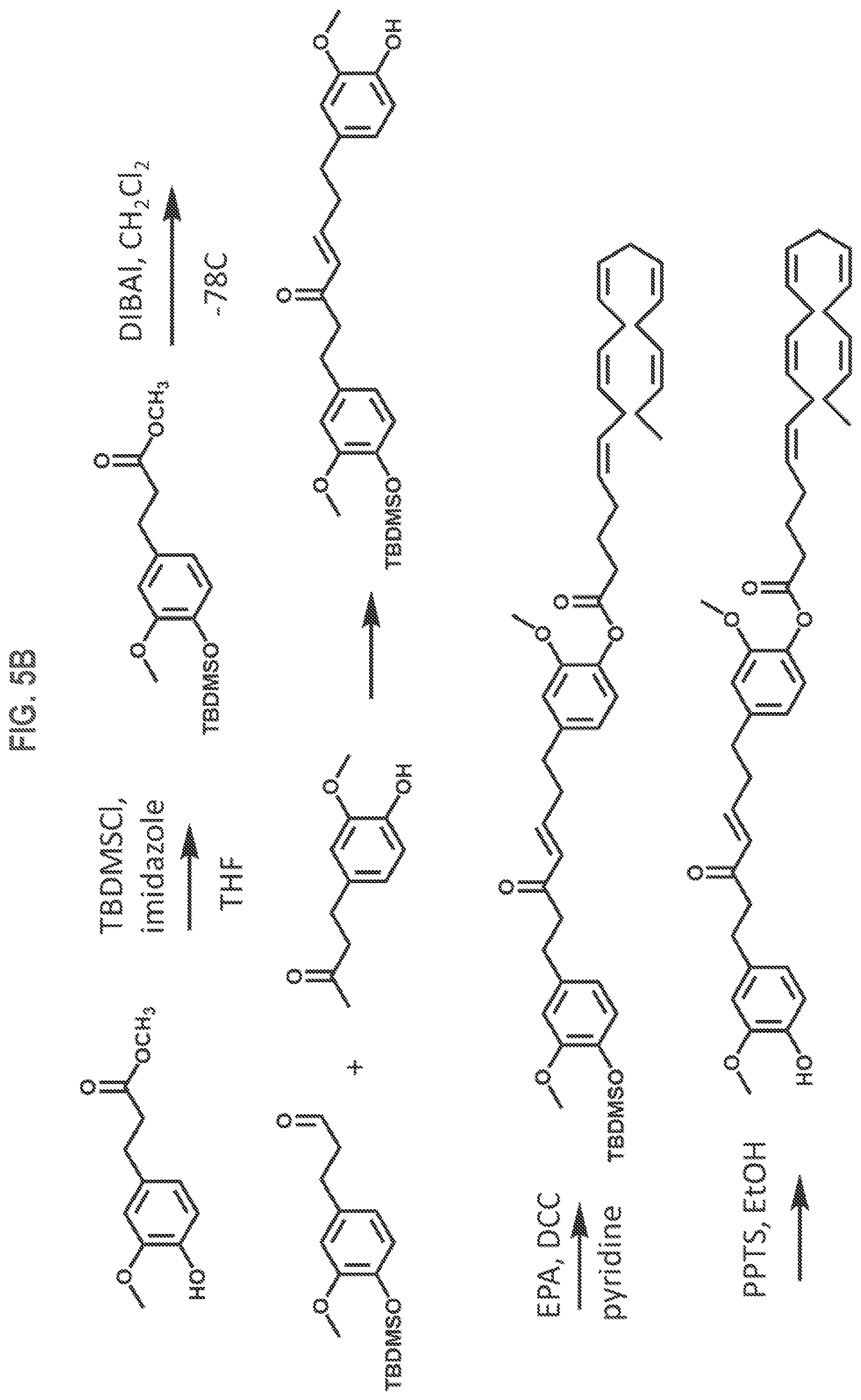 Patent US12325688 Figure 6 – Gingerenone A prodrugs as sensotherapeutics and methods of use