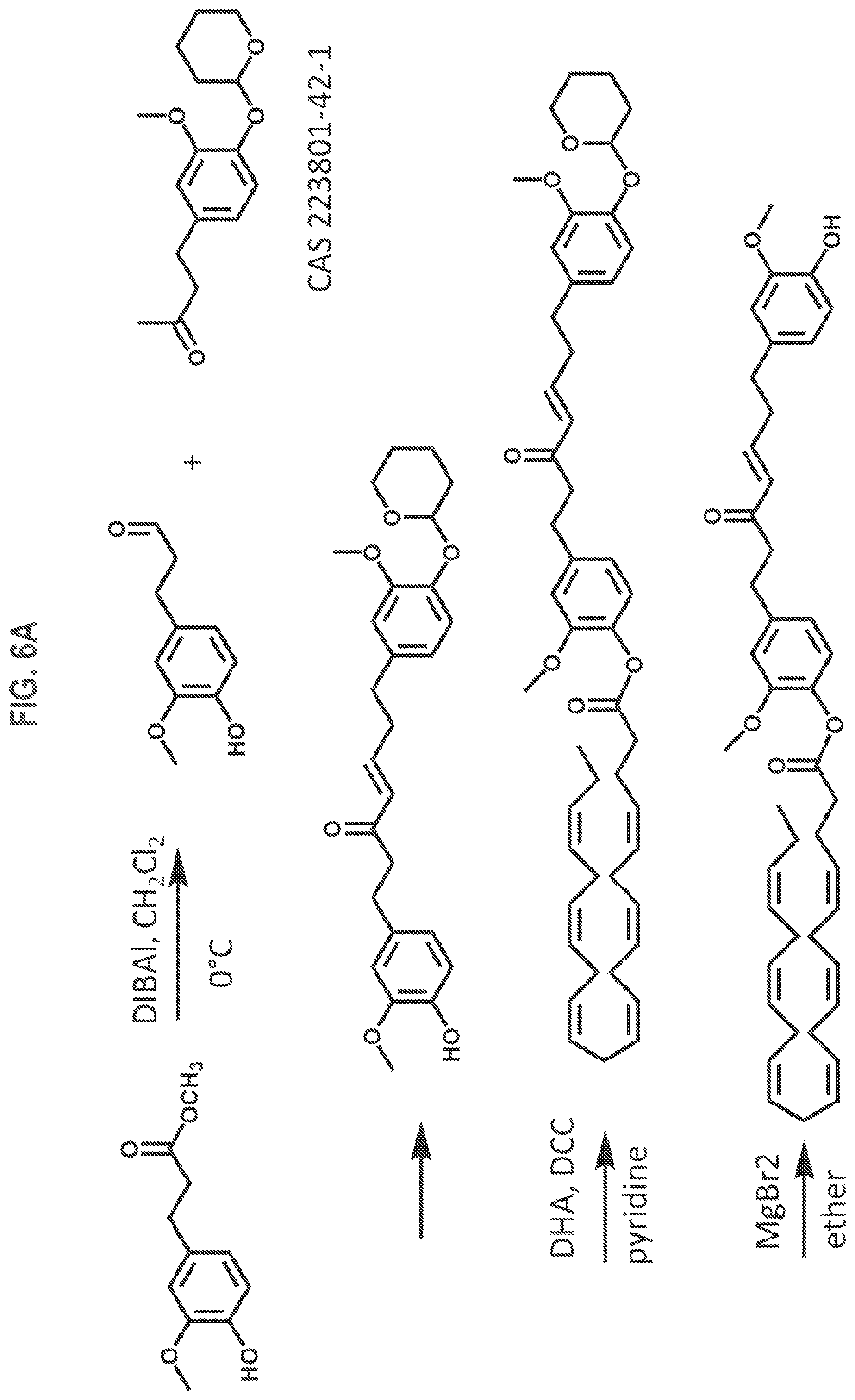 Patent US12325688 Figure 7 – Gingerenone A prodrugs as sensotherapeutics and methods of use