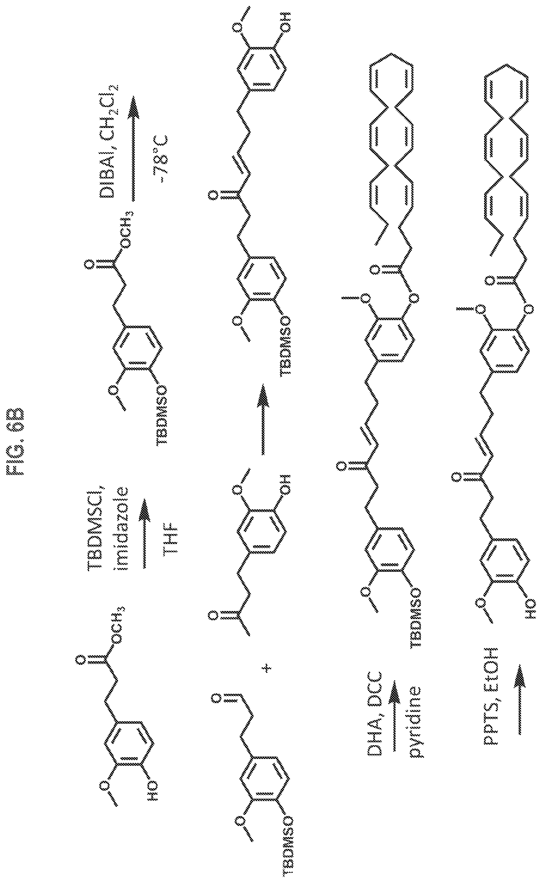 Patent US12325688 Figure 8 – Gingerenone A prodrugs as sensotherapeutics and methods of use