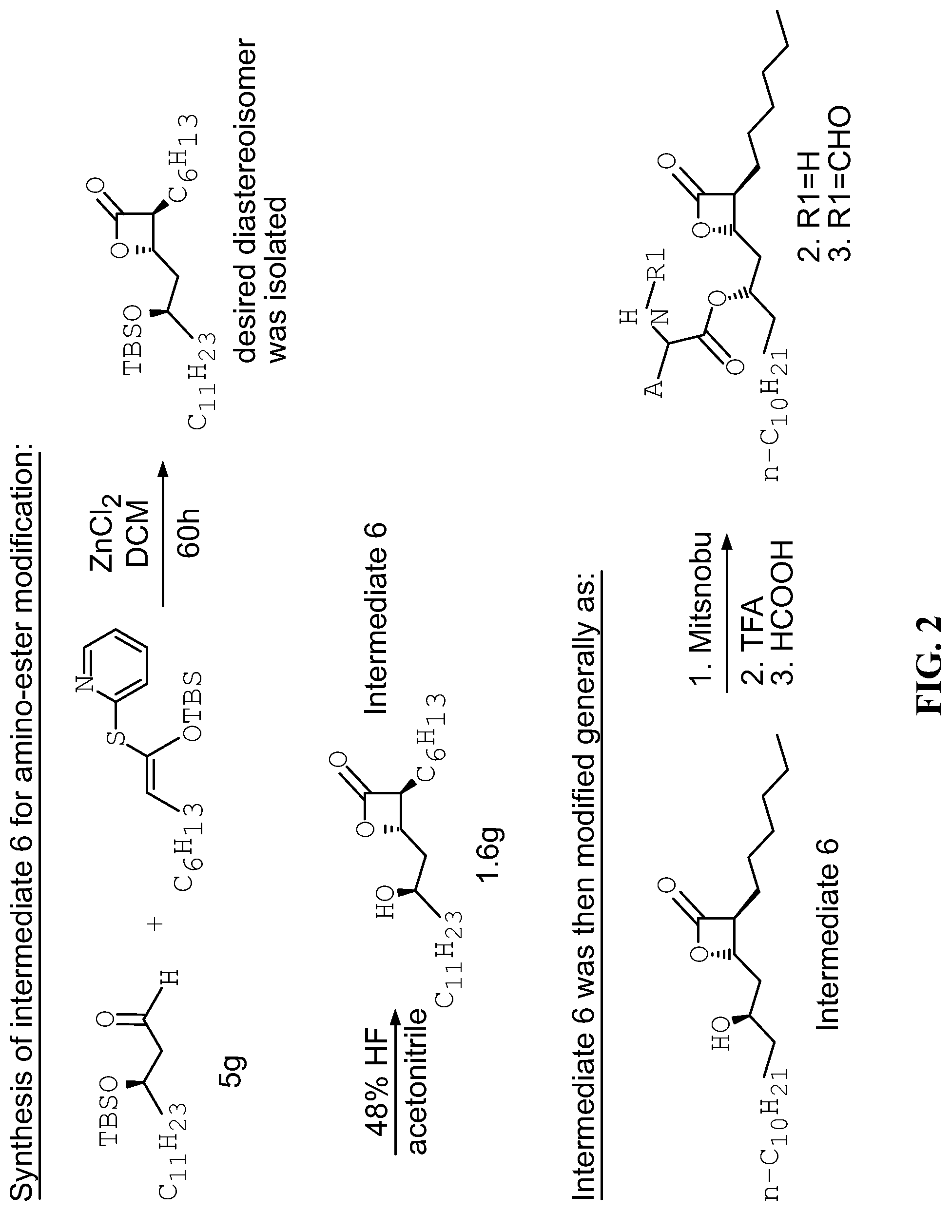 Patent US12325690 Figure 2 – Compounds for the reducing lipotoxic damage