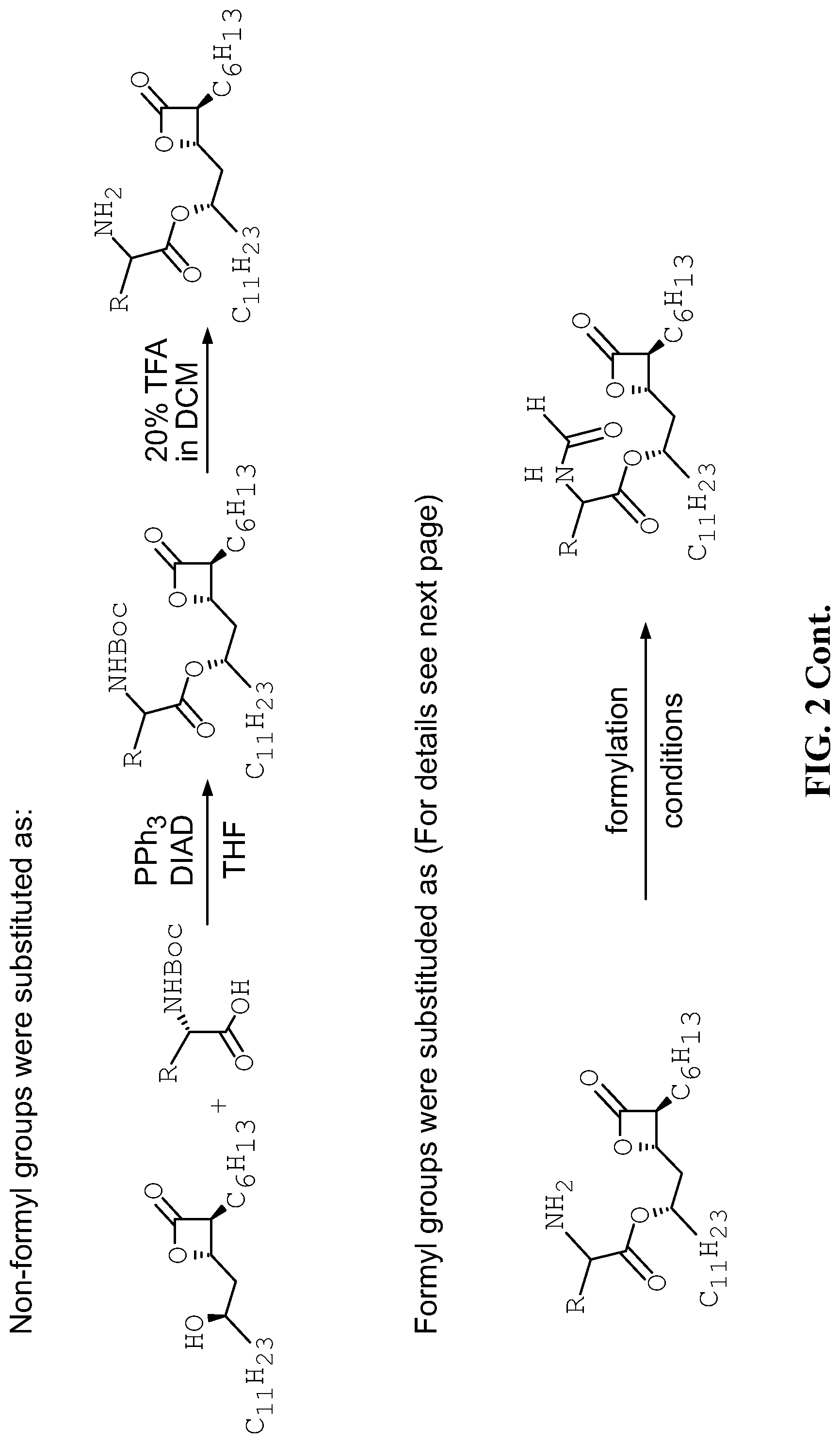 Patent US12325690 Figure 3 – Compounds for the reducing lipotoxic damage