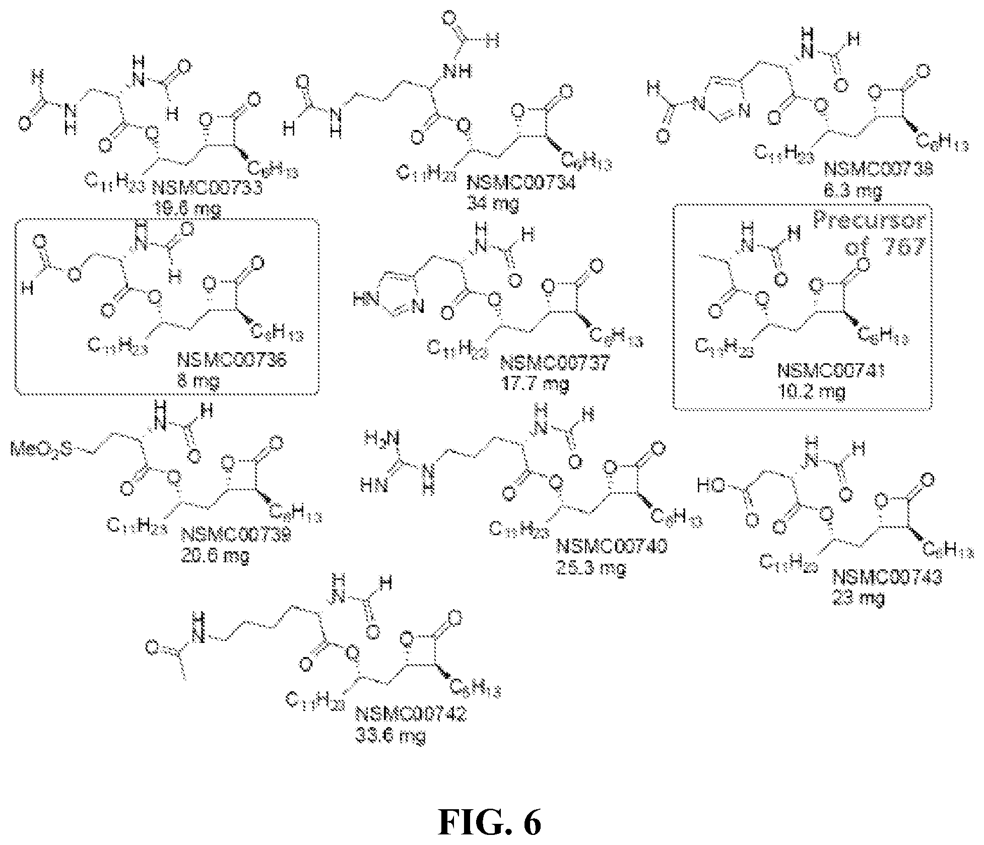 Patent US12325690 Figure 7 – Compounds for the reducing lipotoxic damage