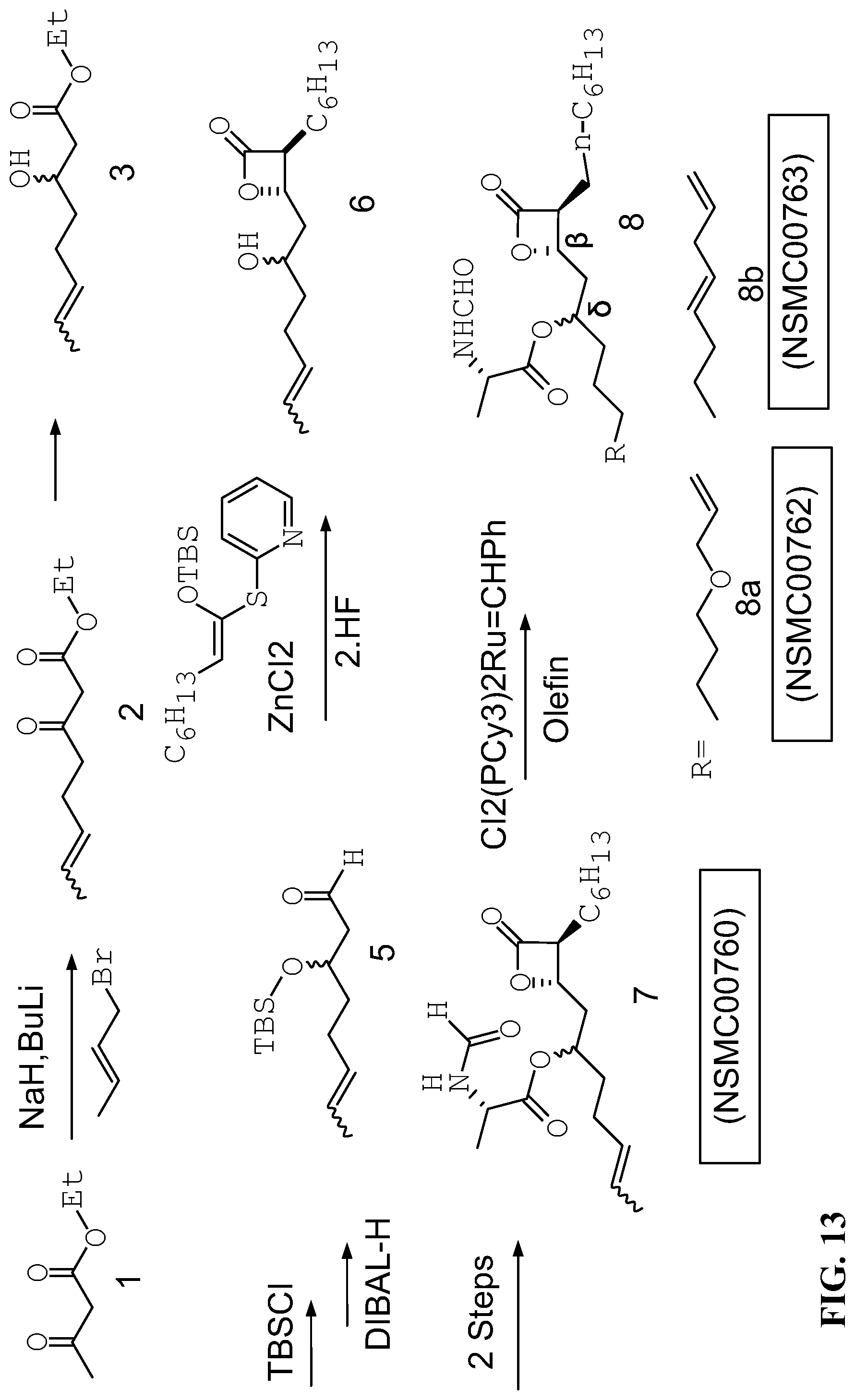 Patent US12325690 Figure 14 – Compounds for the reducing lipotoxic damage