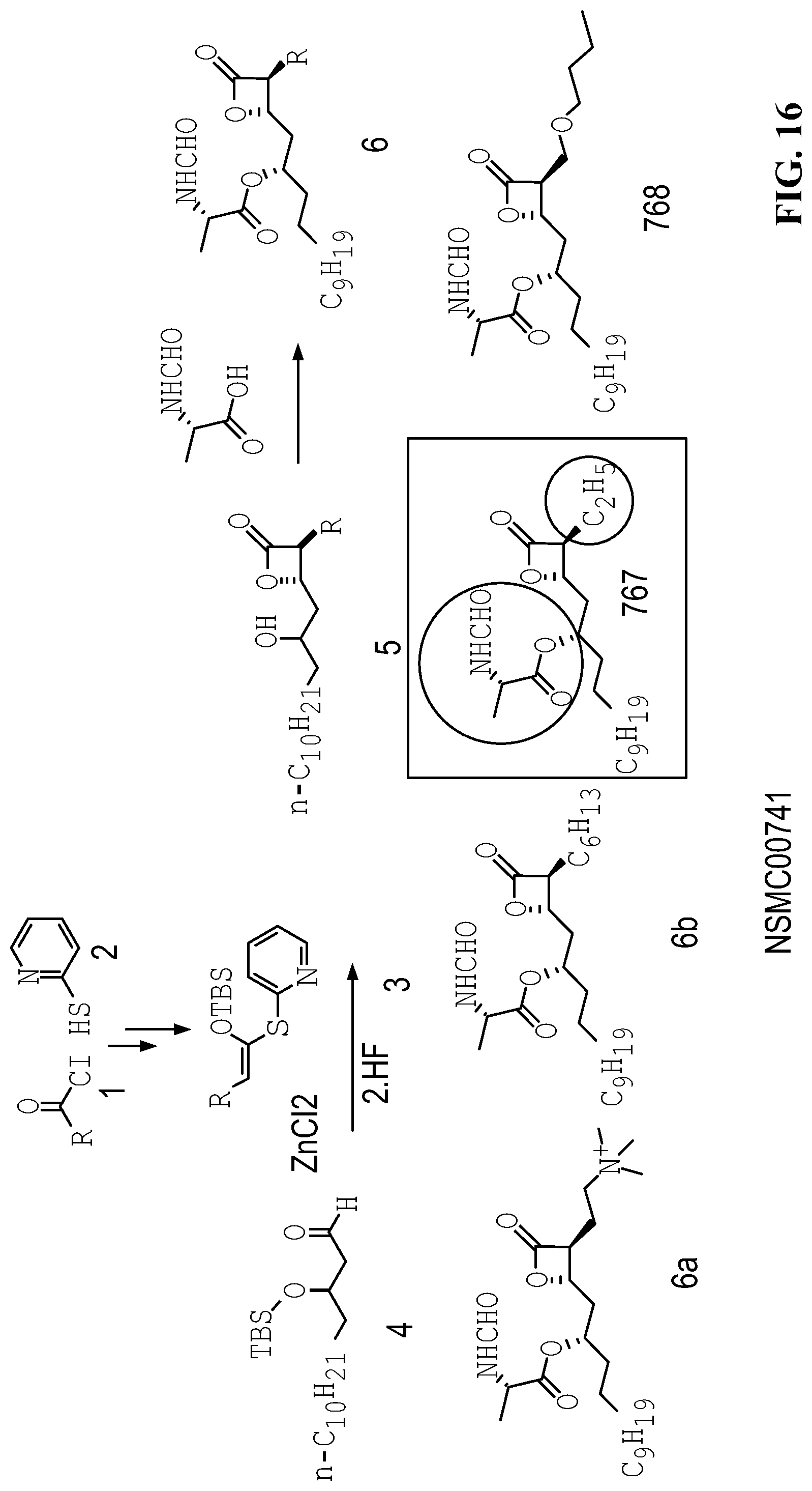 Patent US12325690 Figure 17 – Compounds for the reducing lipotoxic damage