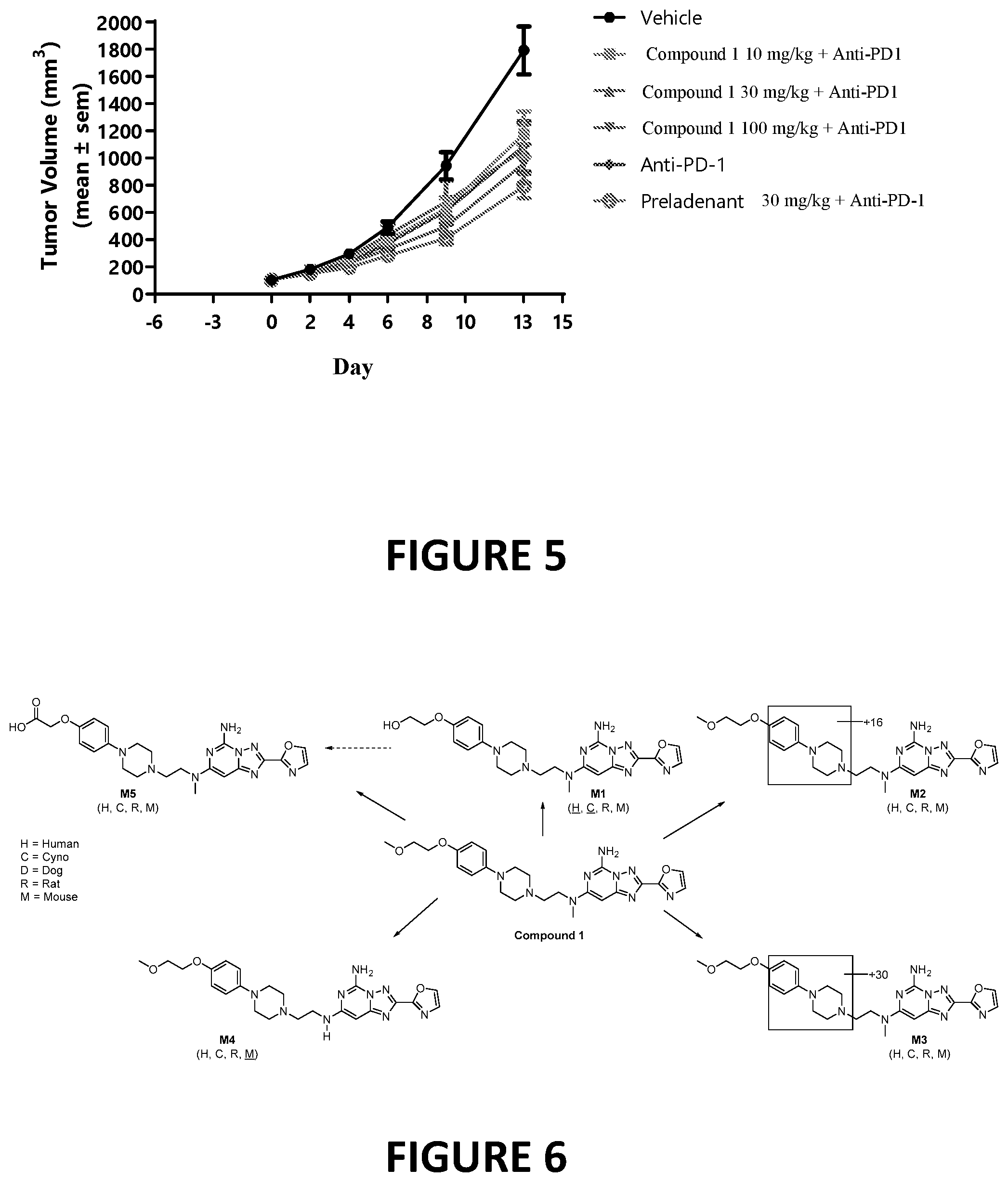 Patent US12325708 Figure 5 – Adenosine 2 receptor antagonists