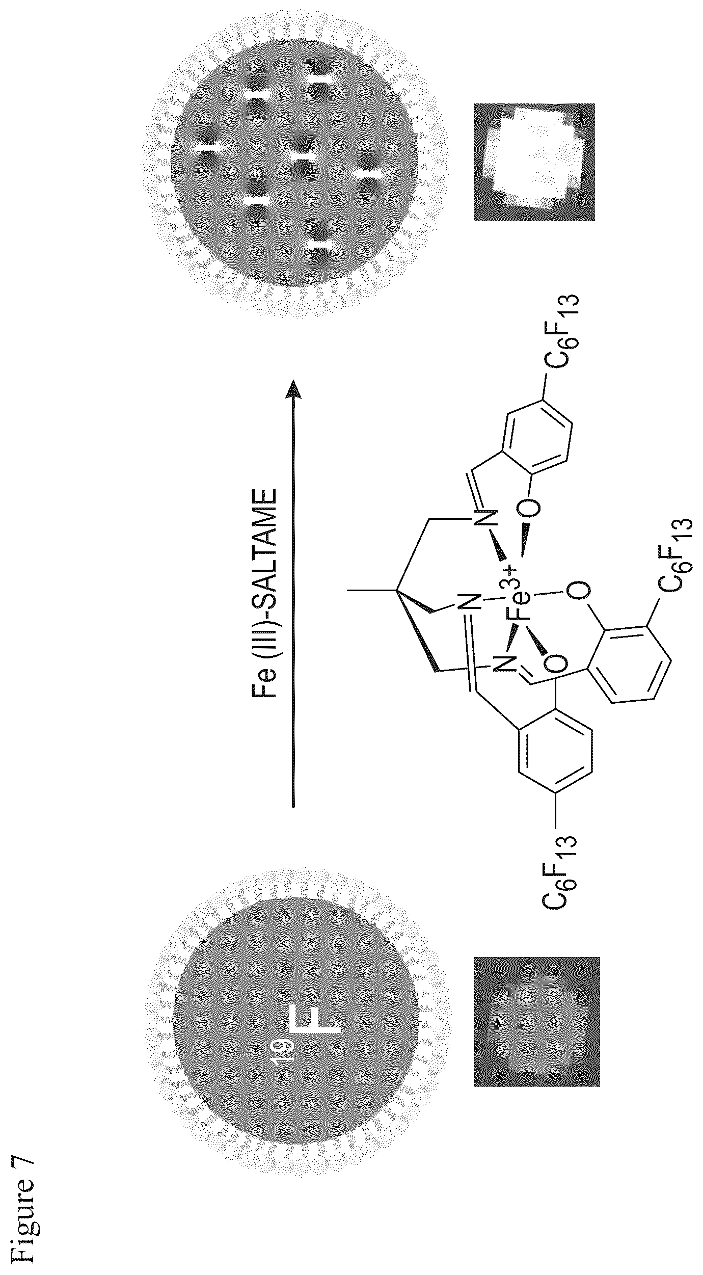 Patent US12325715 Figure 8 – Fluorous metal chelates compositions