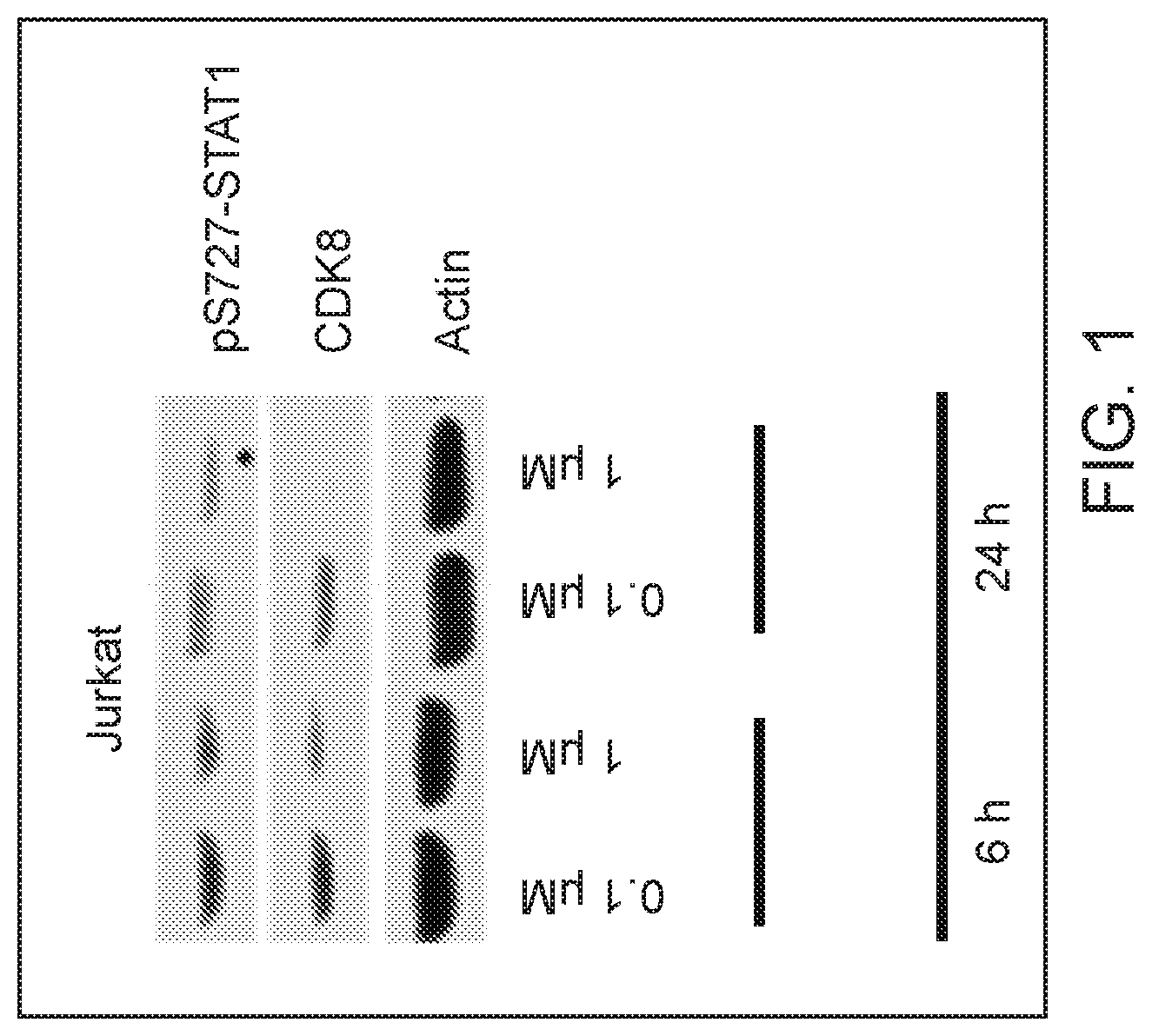 Patent US12325725 Figure 1 – Cyclin-dependent kinase degraders and methods of use