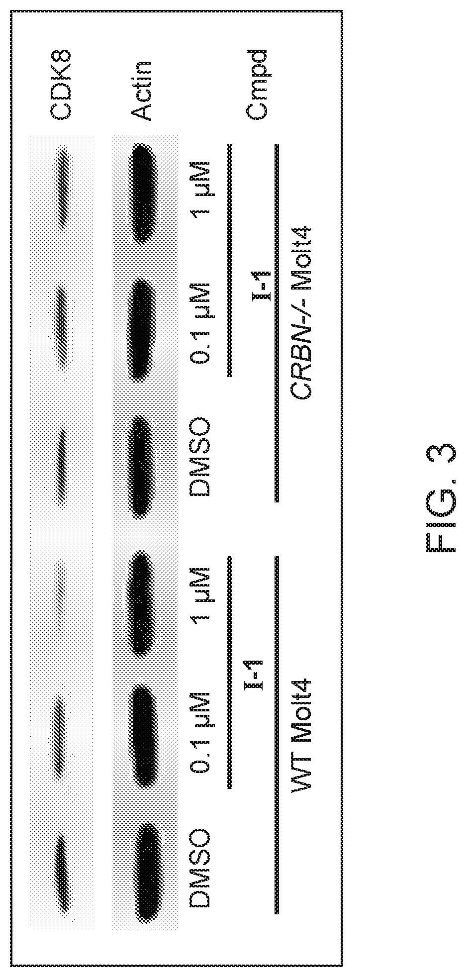 Patent US12325725 Figure 3 – Cyclin-dependent kinase degraders and methods of use