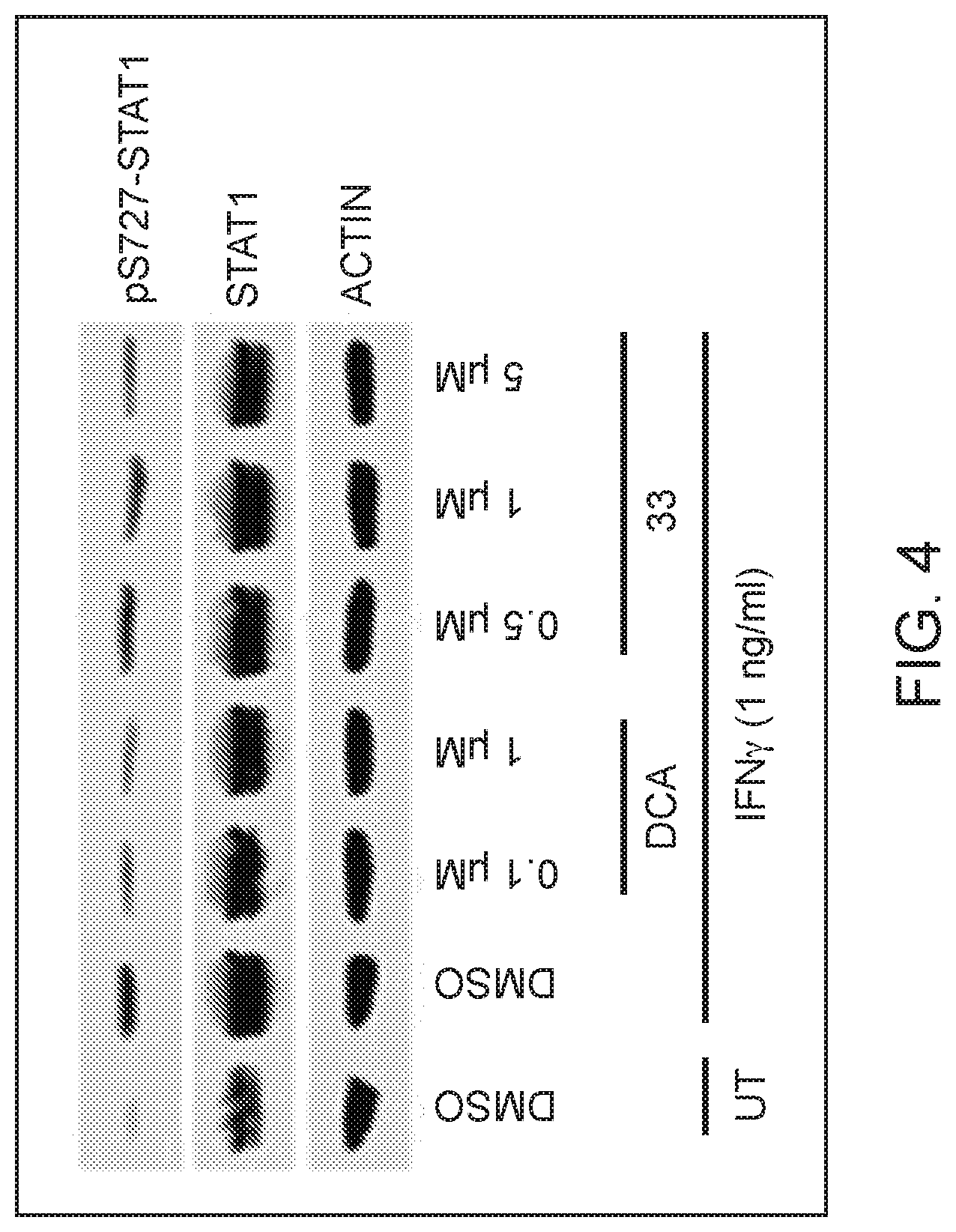 Patent US12325725 Figure 4 – Cyclin-dependent kinase degraders and methods of use
