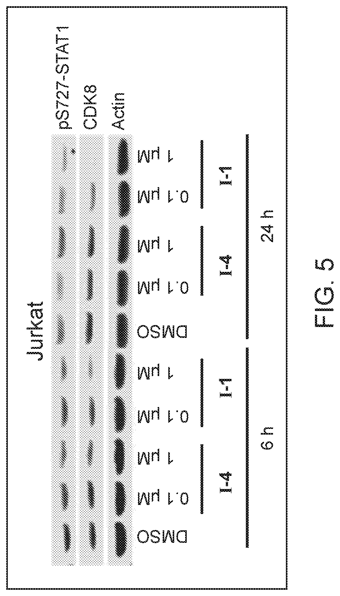 Patent US12325725 Figure 5 – Cyclin-dependent kinase degraders and methods of use
