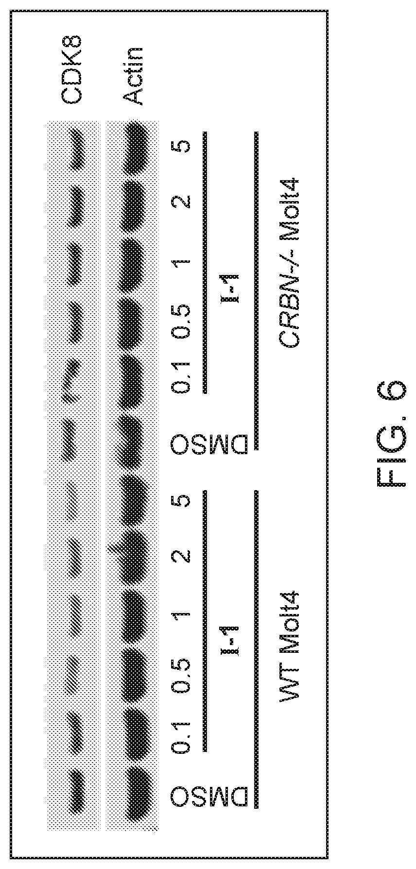 Patent US12325725 Figure 6 – Cyclin-dependent kinase degraders and methods of use
