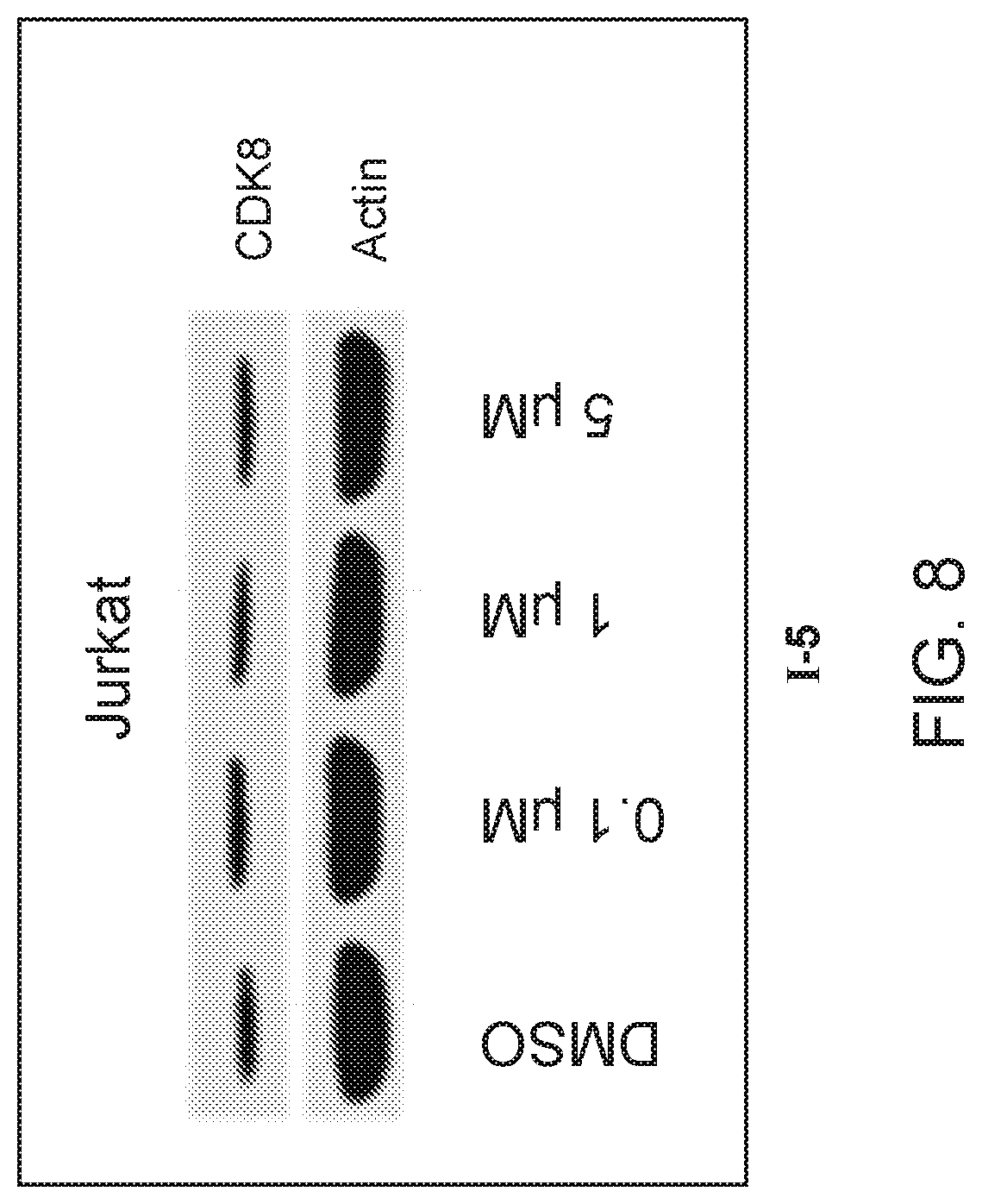 Patent US12325725 Figure 8 – Cyclin-dependent kinase degraders and methods of use