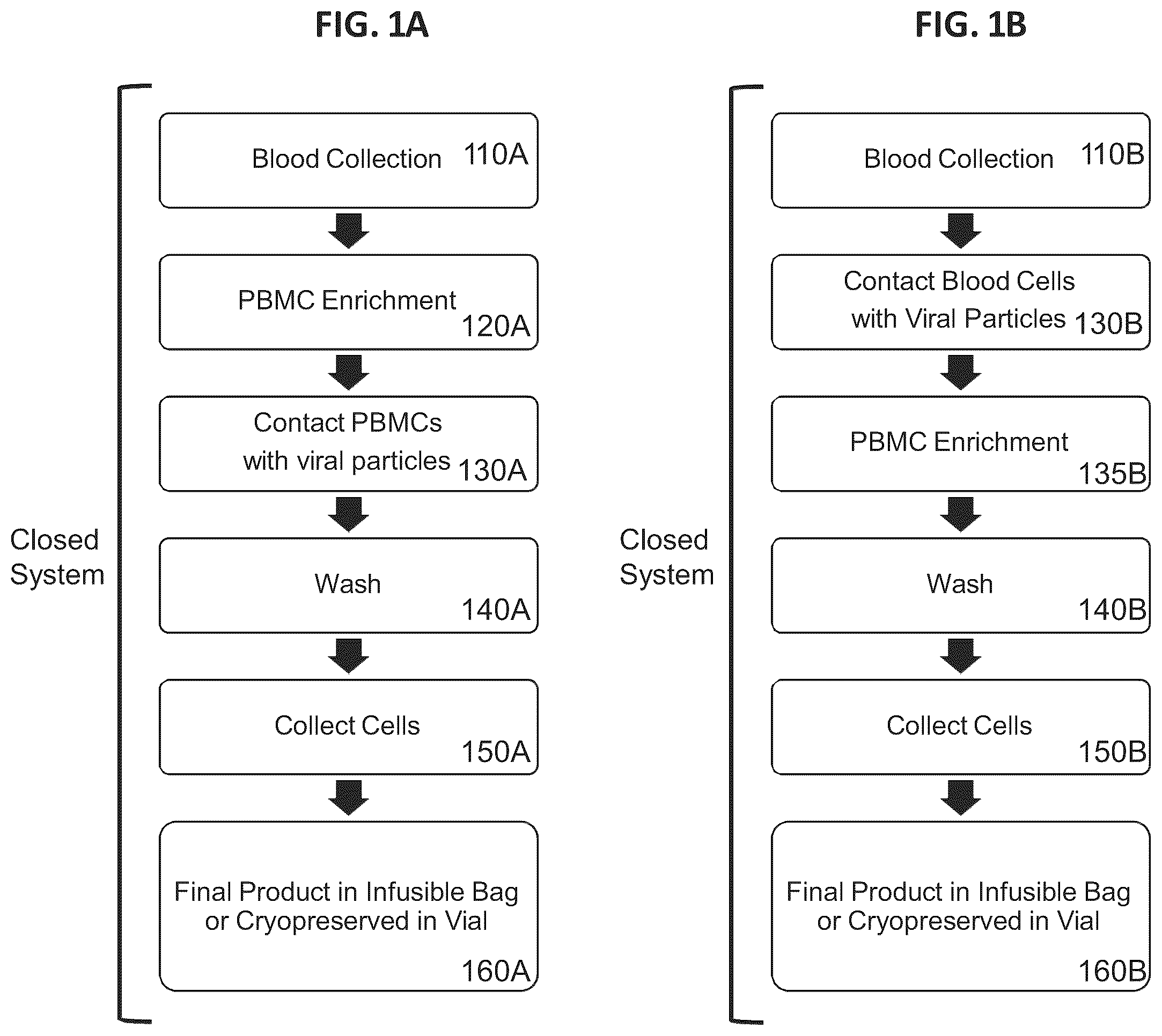 Patent US12325728 Figure 1 – Methods and compositions for genetically modifying lymphocytes to express polypeptides comprising the intracellular domain of CD79A and CD79B
