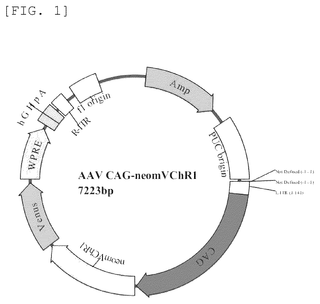 Patent US12325729 Figure 1 – Modified channel rhodopsin