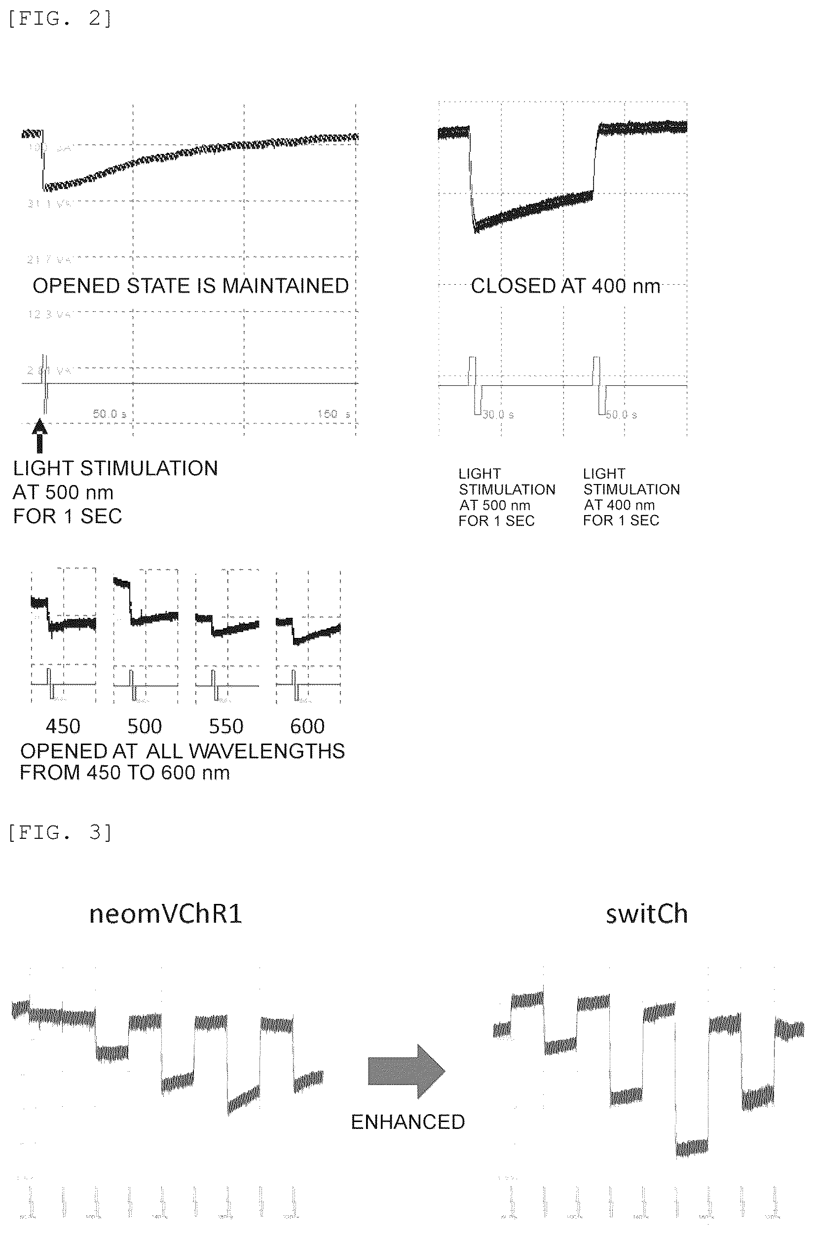 Patent US12325729 Figure 2 – Modified channel rhodopsin
