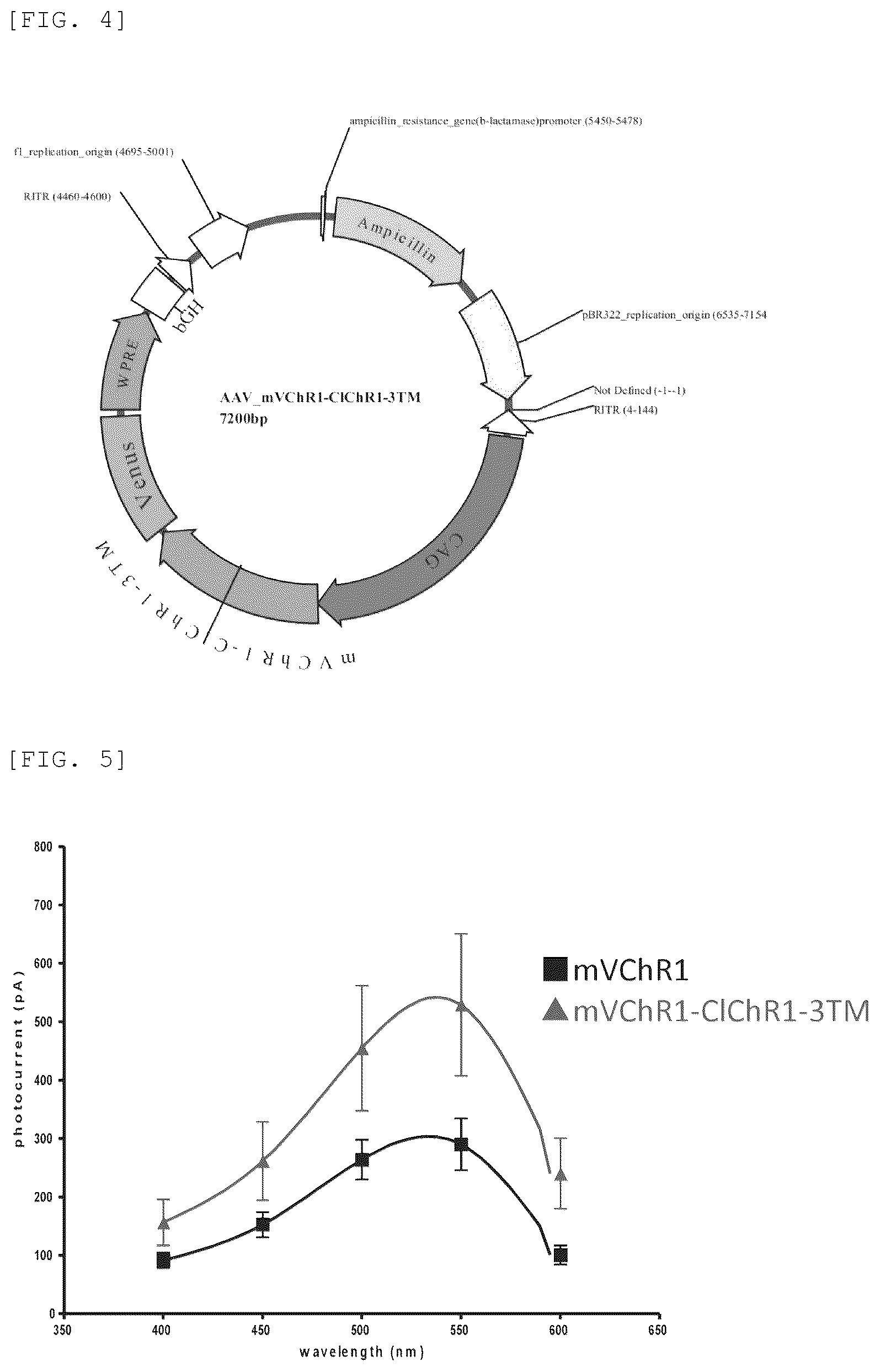 Patent US12325729 Figure 3 – Modified channel rhodopsin