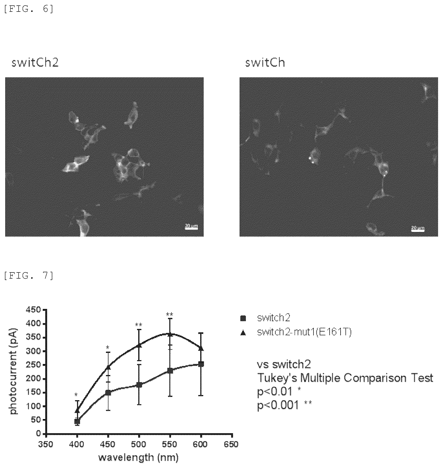 Patent US12325729 Figure 4 – Modified channel rhodopsin