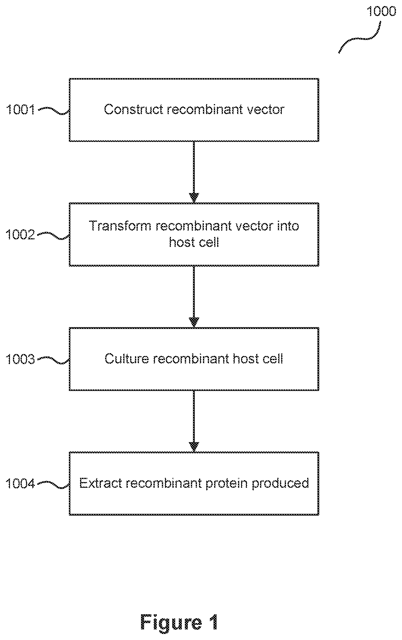 Patent US12325730 Figure 1 – Compositions and methods for producing high secreted yields of recombinant proteins