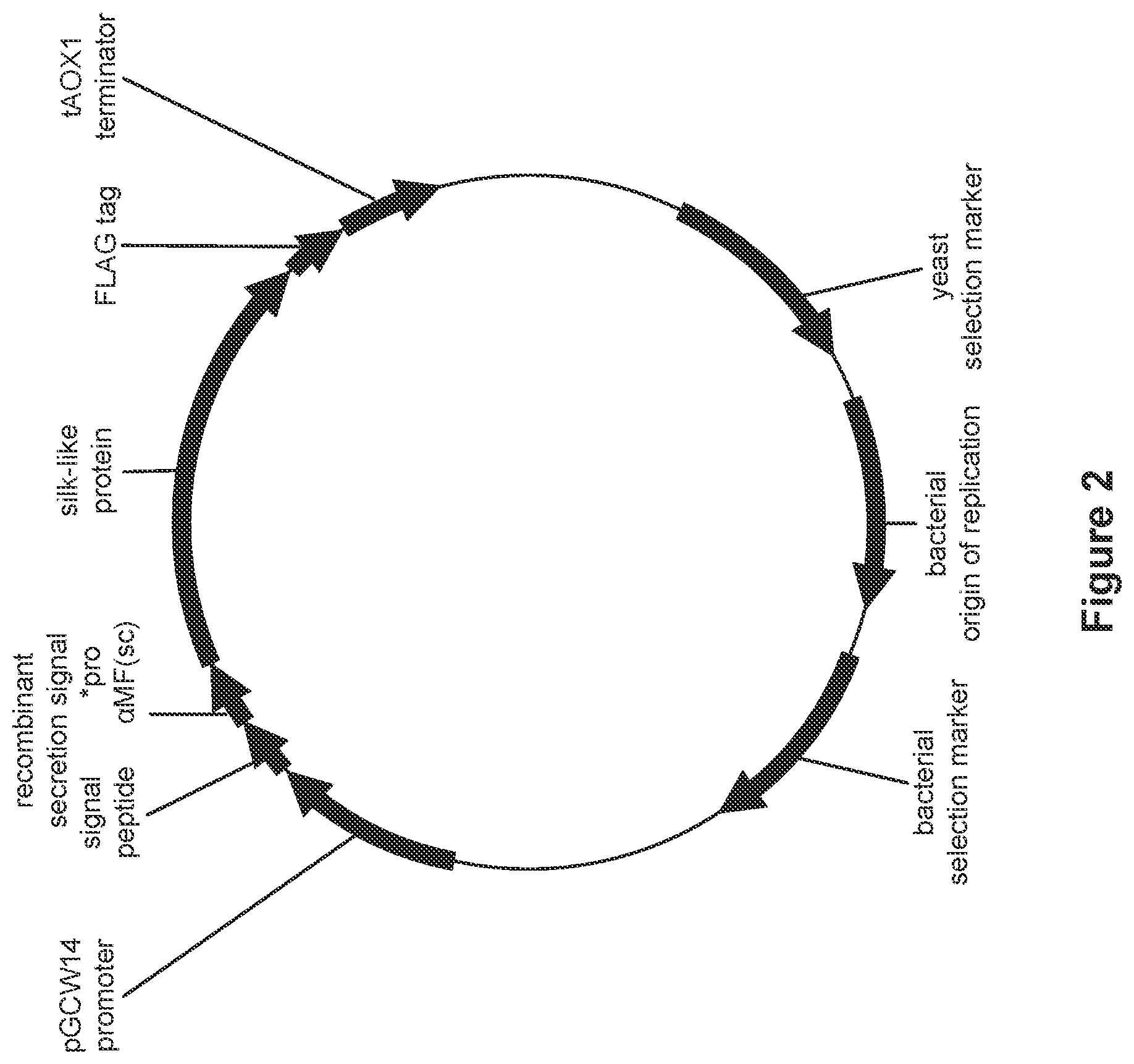 Patent US12325730 Figure 2 – Compositions and methods for producing high secreted yields of recombinant proteins