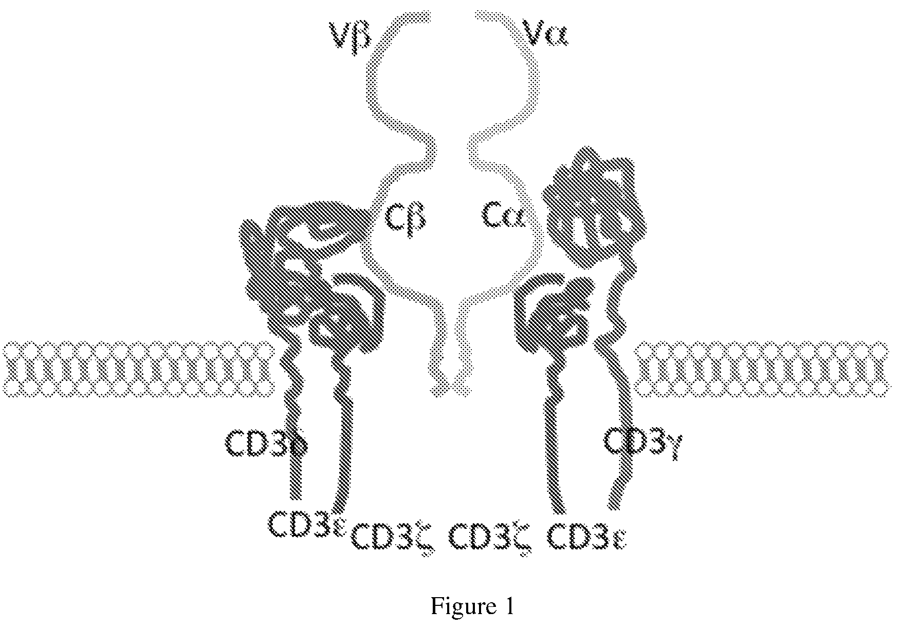 Patent US12325733 Figure 1 – Binding domain