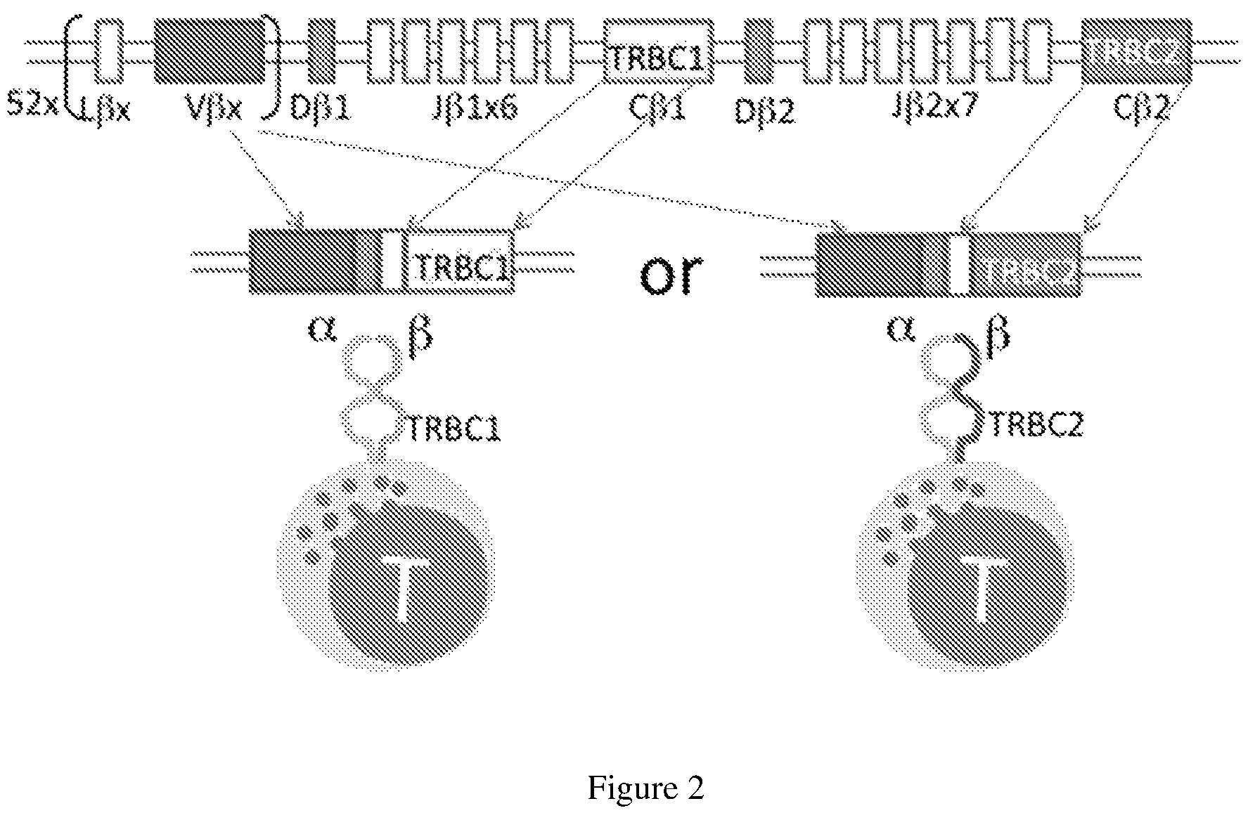 Patent US12325733 Figure 2 – Binding domain