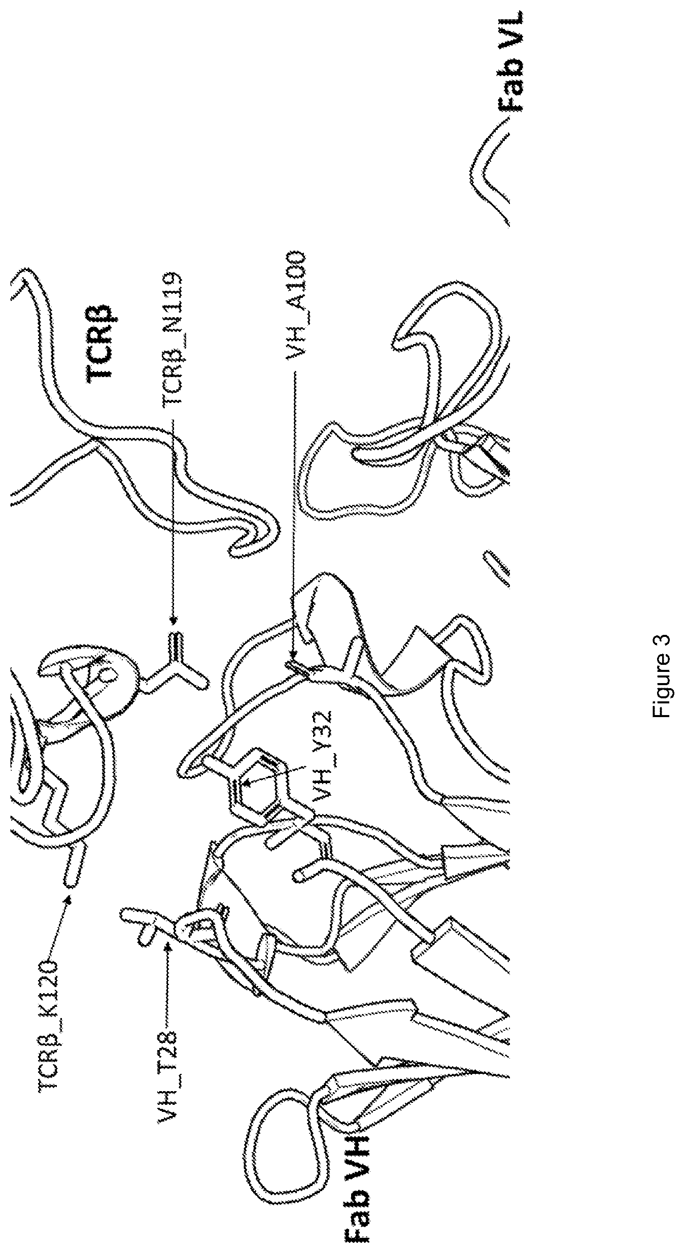Patent US12325733 Figure 3 – Binding domain