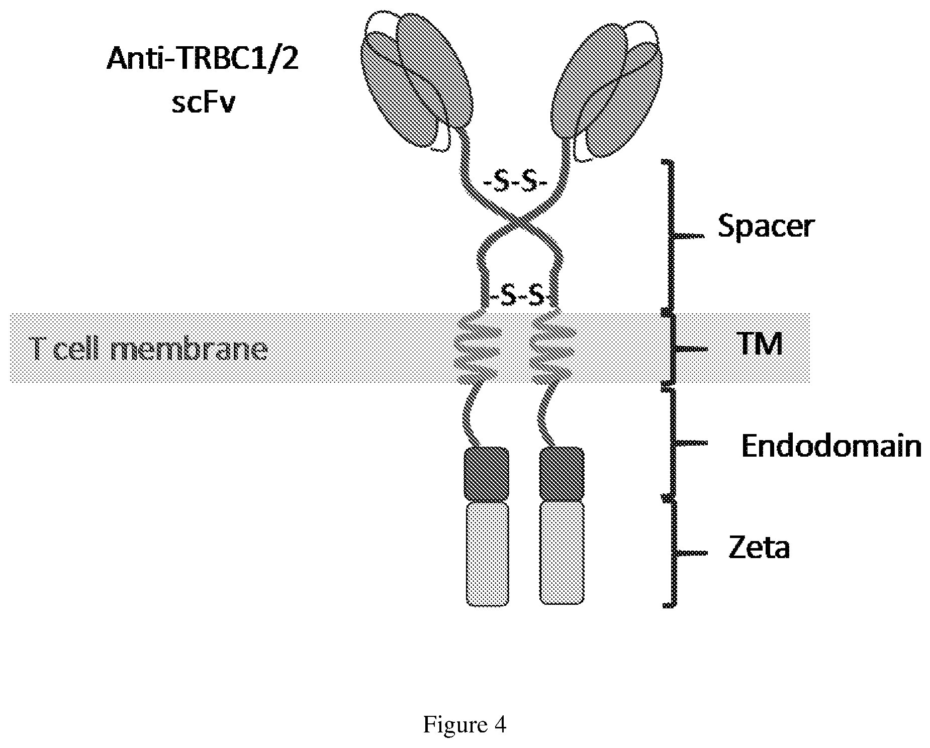 Patent US12325733 Figure 4 – Binding domain
