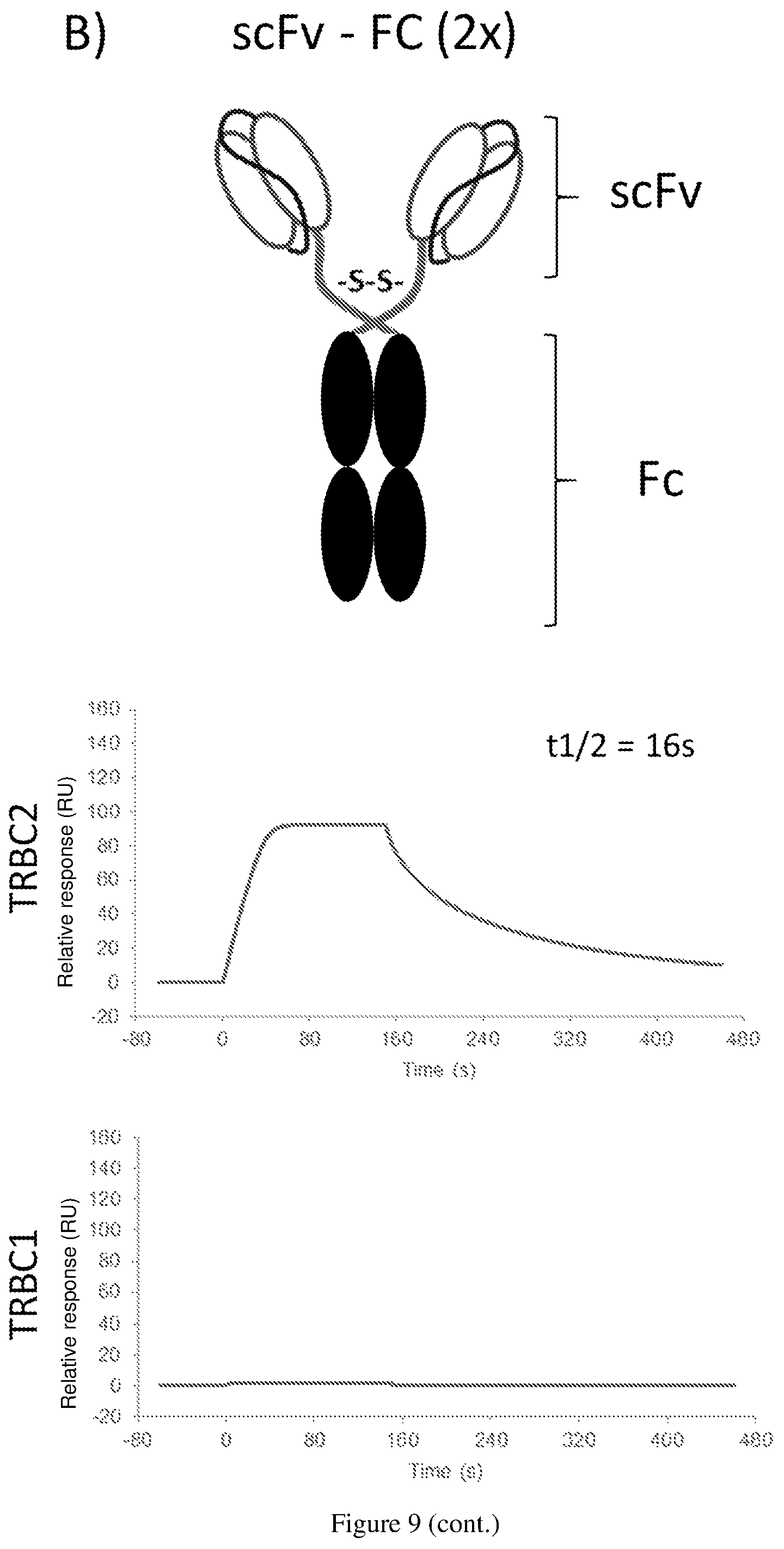 Patent US12325733 Figure 10 – Binding domain