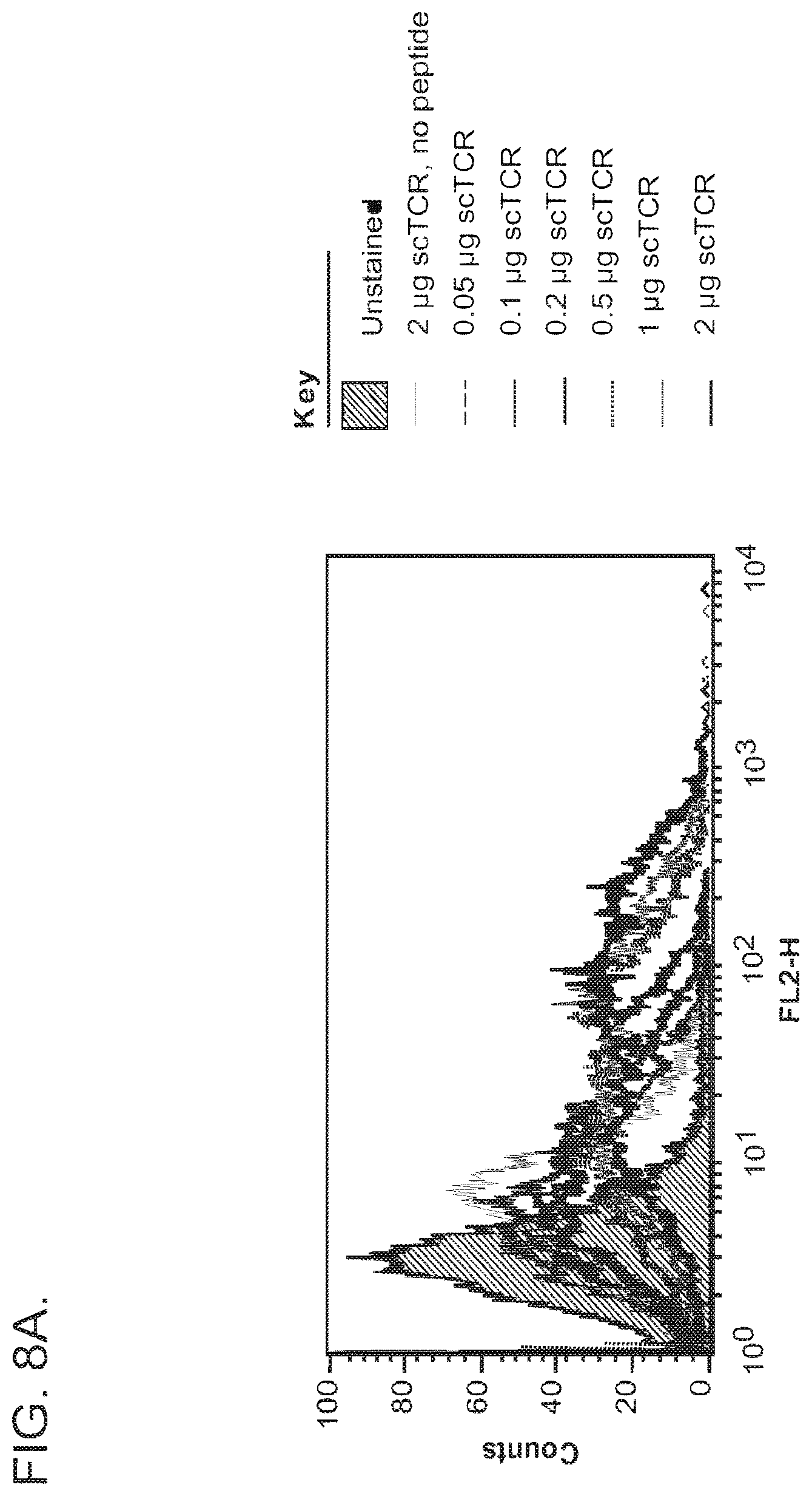 Patent US12325734 Figure 14 – Human immunodeficiency virus-specific T cell receptors