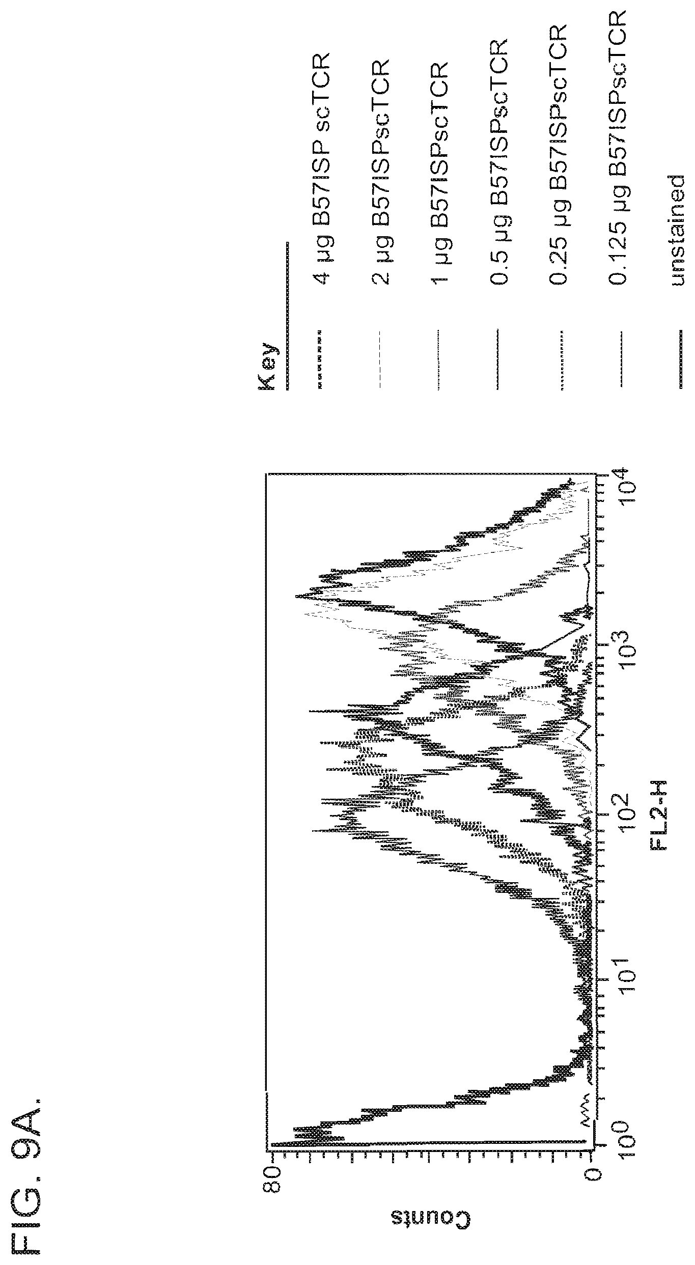 Patent US12325734 Figure 16 – Human immunodeficiency virus-specific T cell receptors