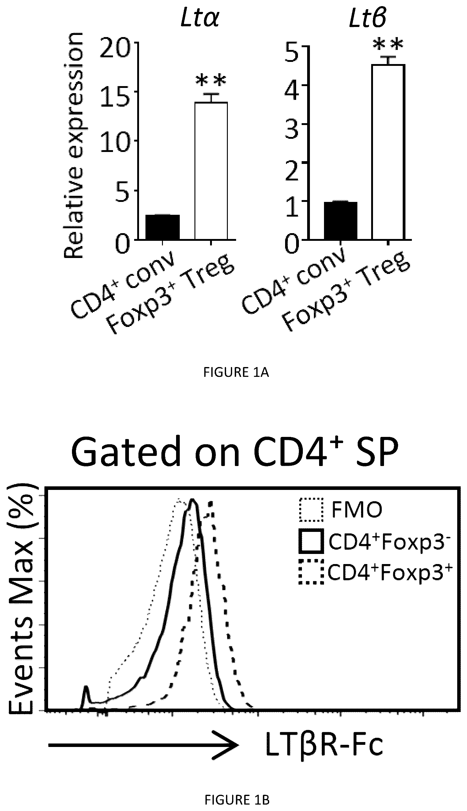 Patent US12325735 Figure 1 – Regulatory T cells genetically modified for the lymphotoxin alpha gene and uses thereof