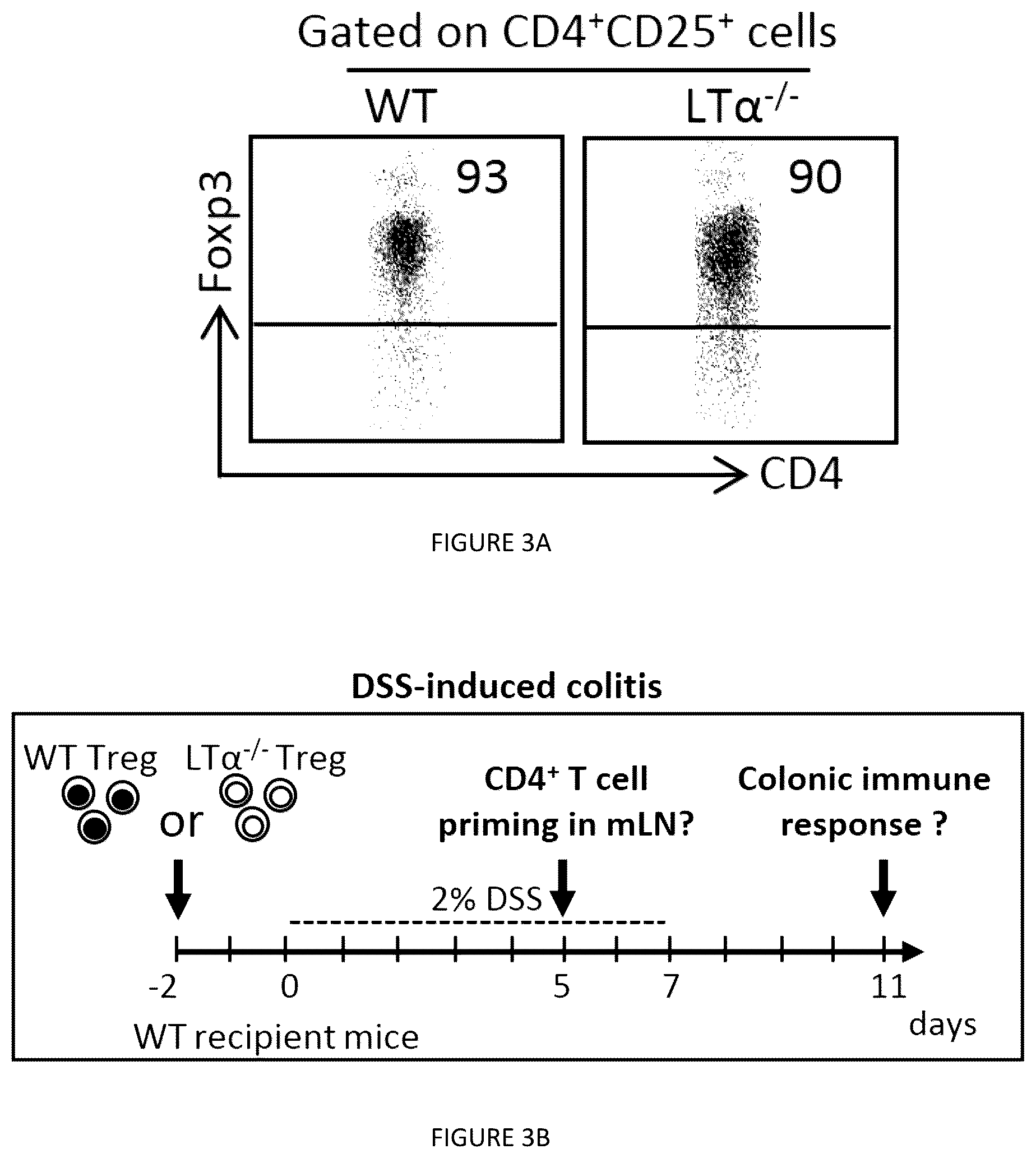 Patent US12325735 Figure 4 – Regulatory T cells genetically modified for the lymphotoxin alpha gene and uses thereof