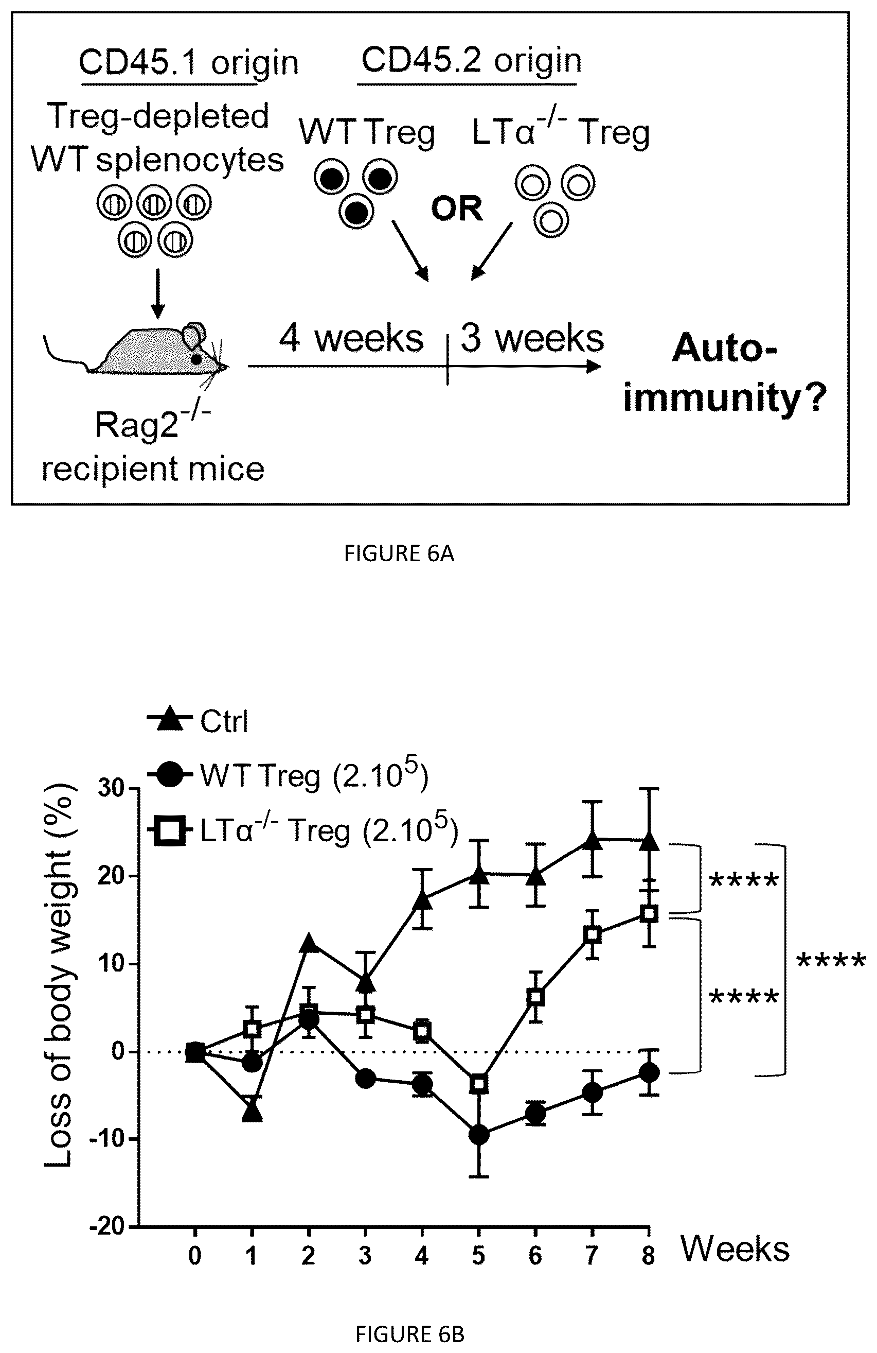 Patent US12325735 Figure 15 – Regulatory T cells genetically modified for the lymphotoxin alpha gene and uses thereof