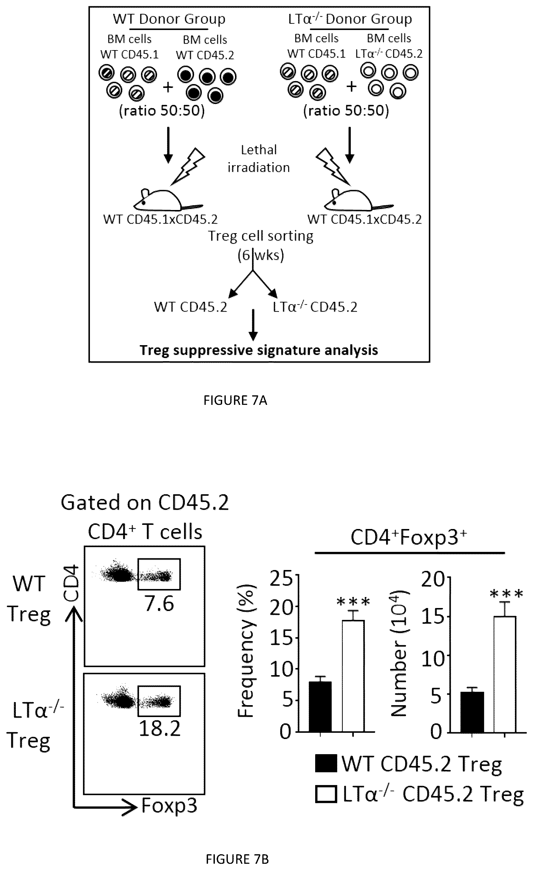 Patent US12325735 Figure 17 – Regulatory T cells genetically modified for the lymphotoxin alpha gene and uses thereof
